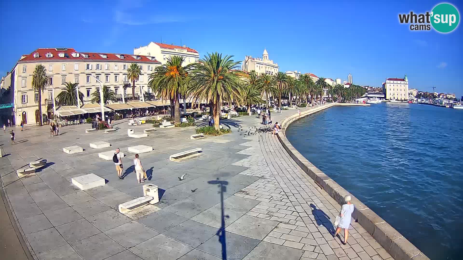 Webcam Split Riva – Prokurative | Trg Republike