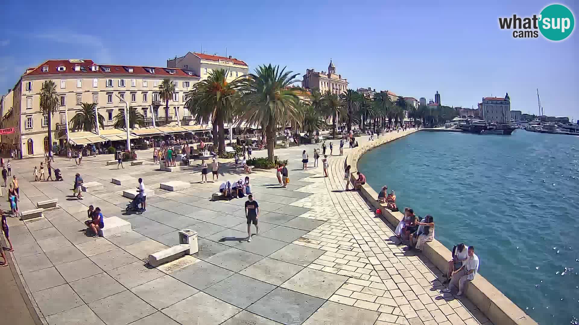 Webcam Split Riva – Prokurative | Trg Republike