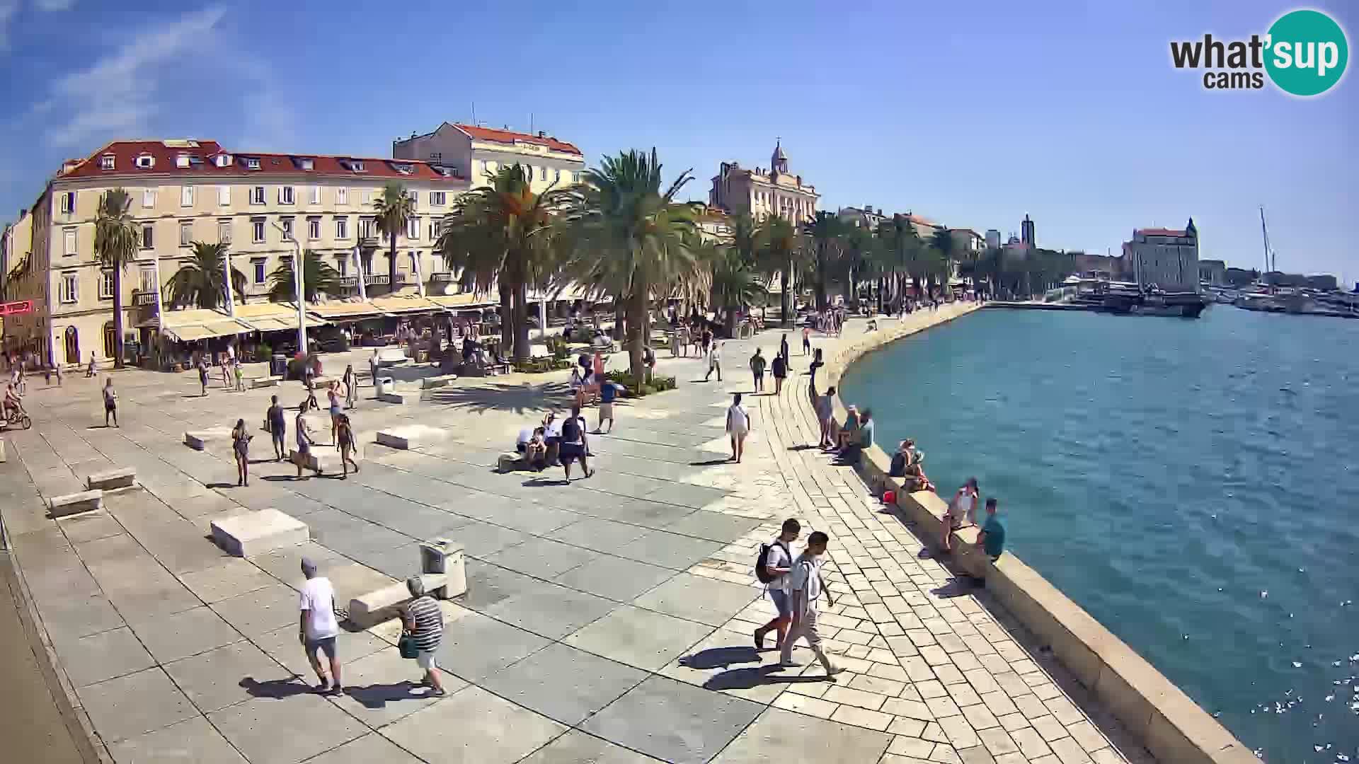 Webcam Split Riva – Prokurative | Trg Republike