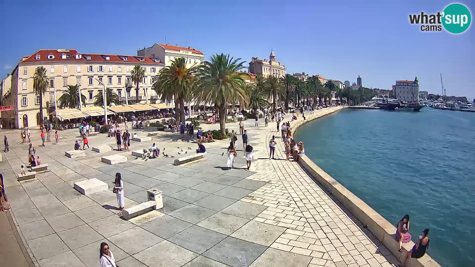 Webcam Split Riva – Prokurative | Trg Republike