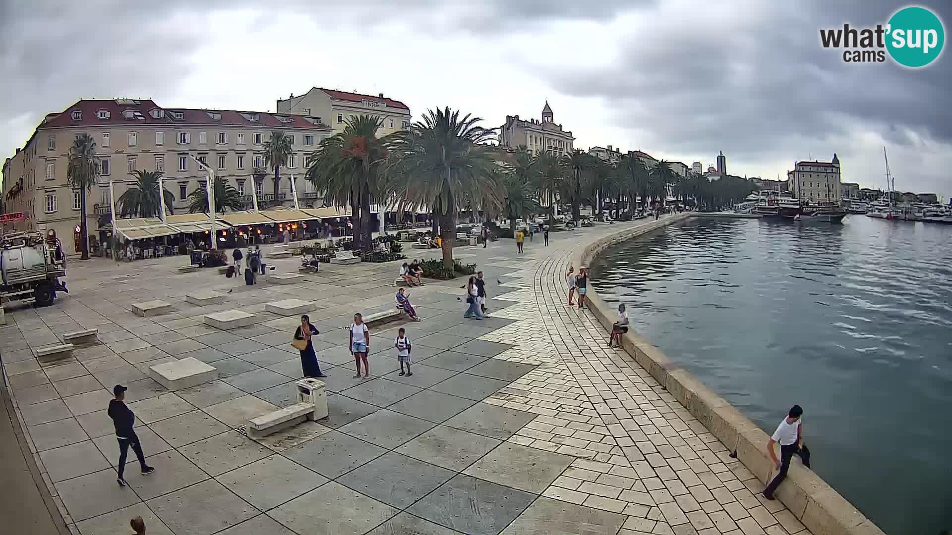 Webcam Split Riva – Prokurative | Trg Republike