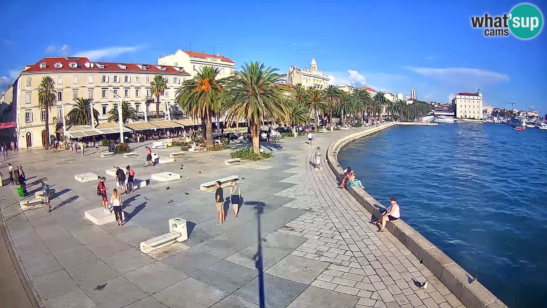 Webcam Split Riva – Prokurative | Trg Republike
