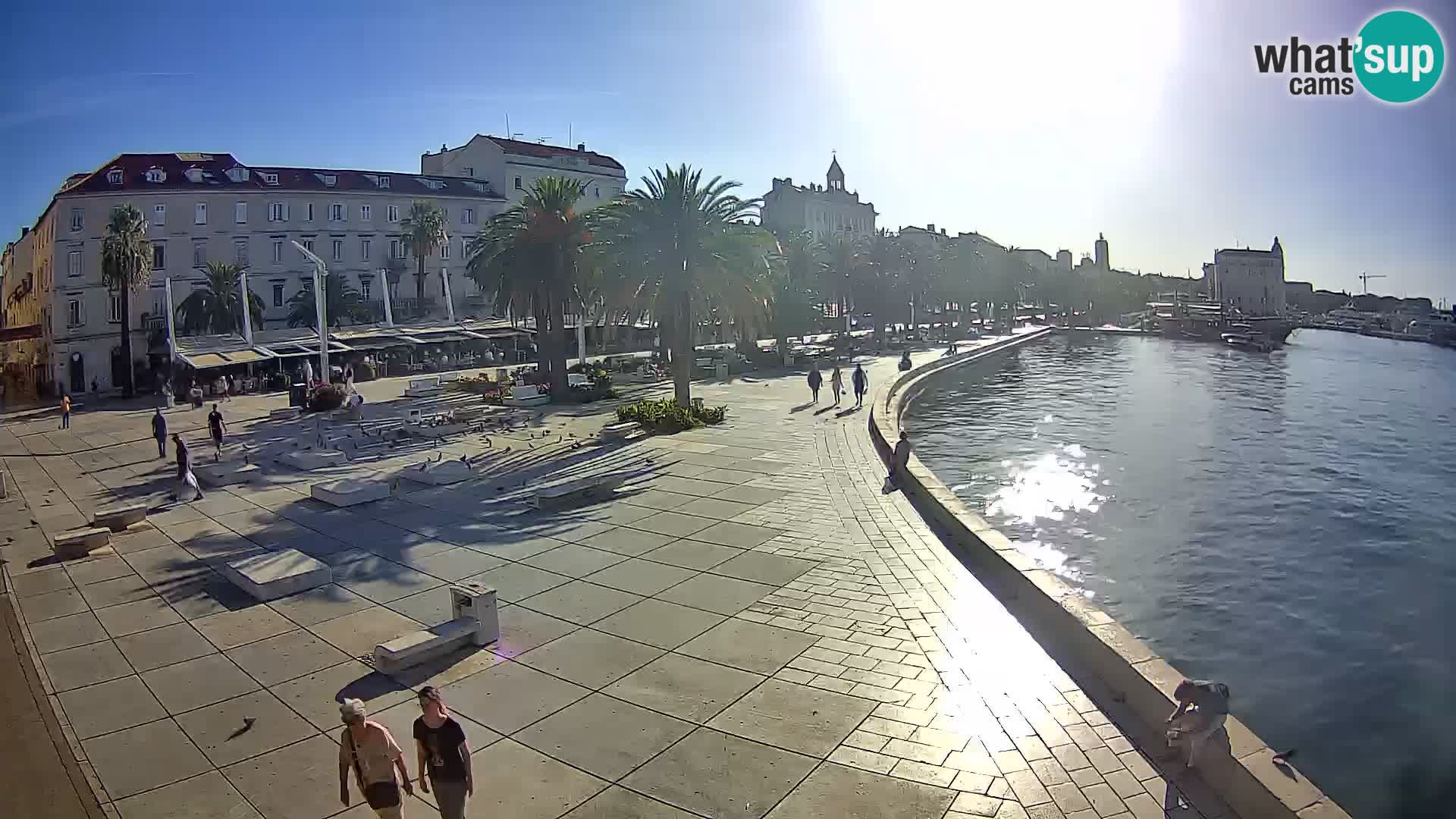 Webcam Split Riva – Prokurative | Trg Republike