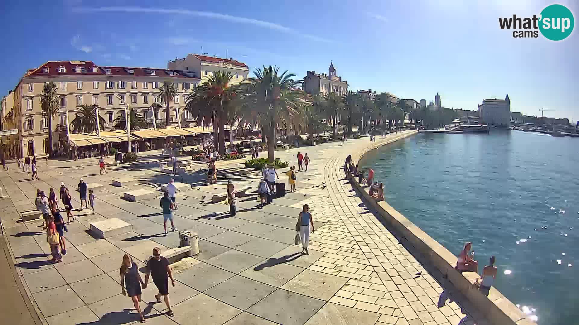 Webcam Split Riva – Prokurative | Trg Republike