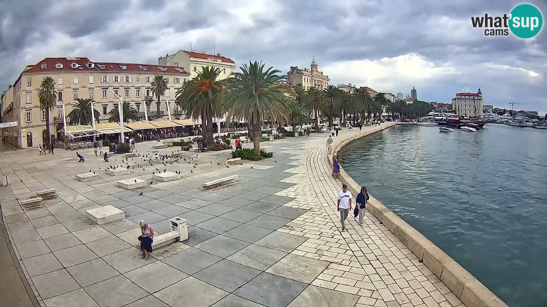 Webcam Split Riva – Prokurative | Trg Republike