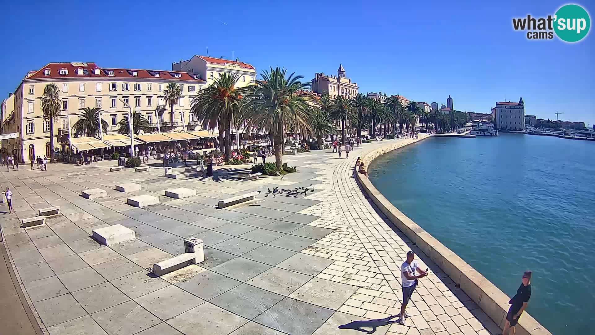 Webcam Split Riva – Prokurative | Trg Republike