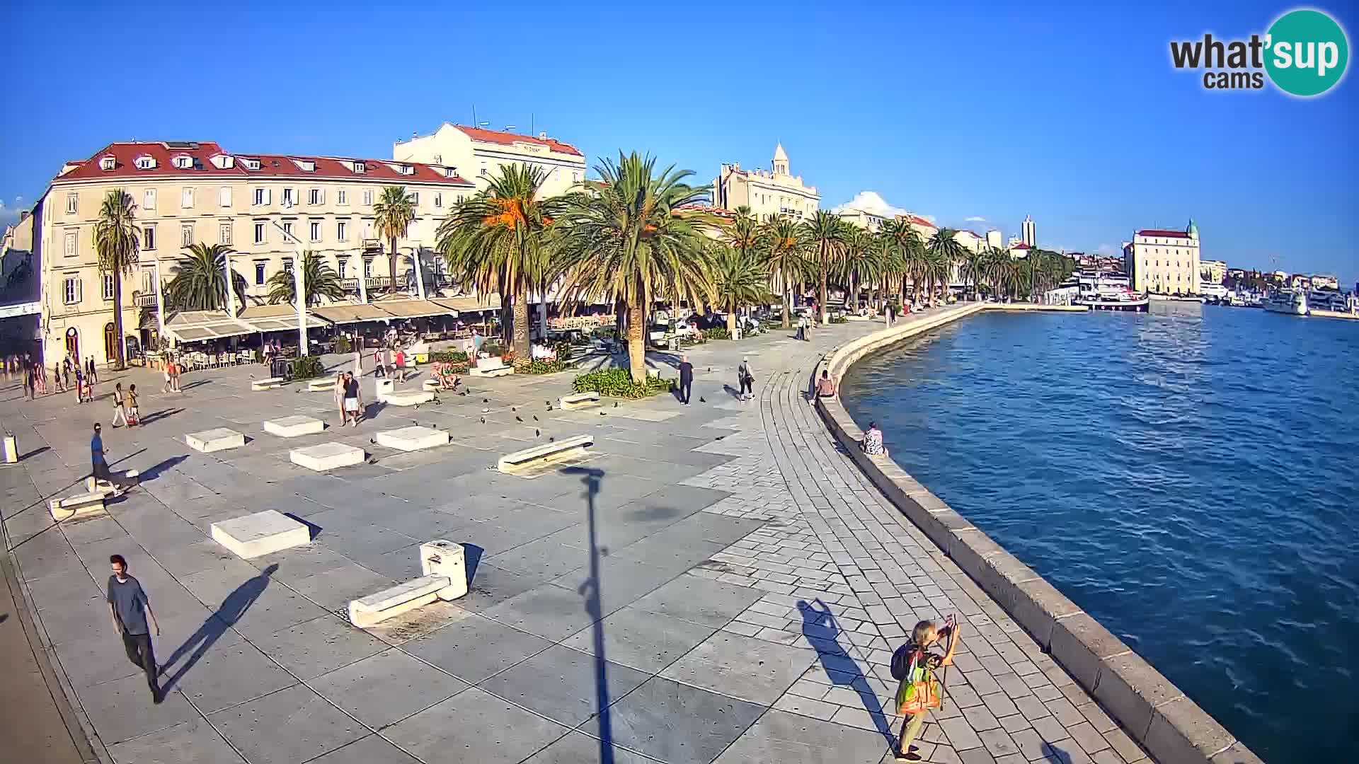Webcam Split Riva – Prokurative | Trg Republike