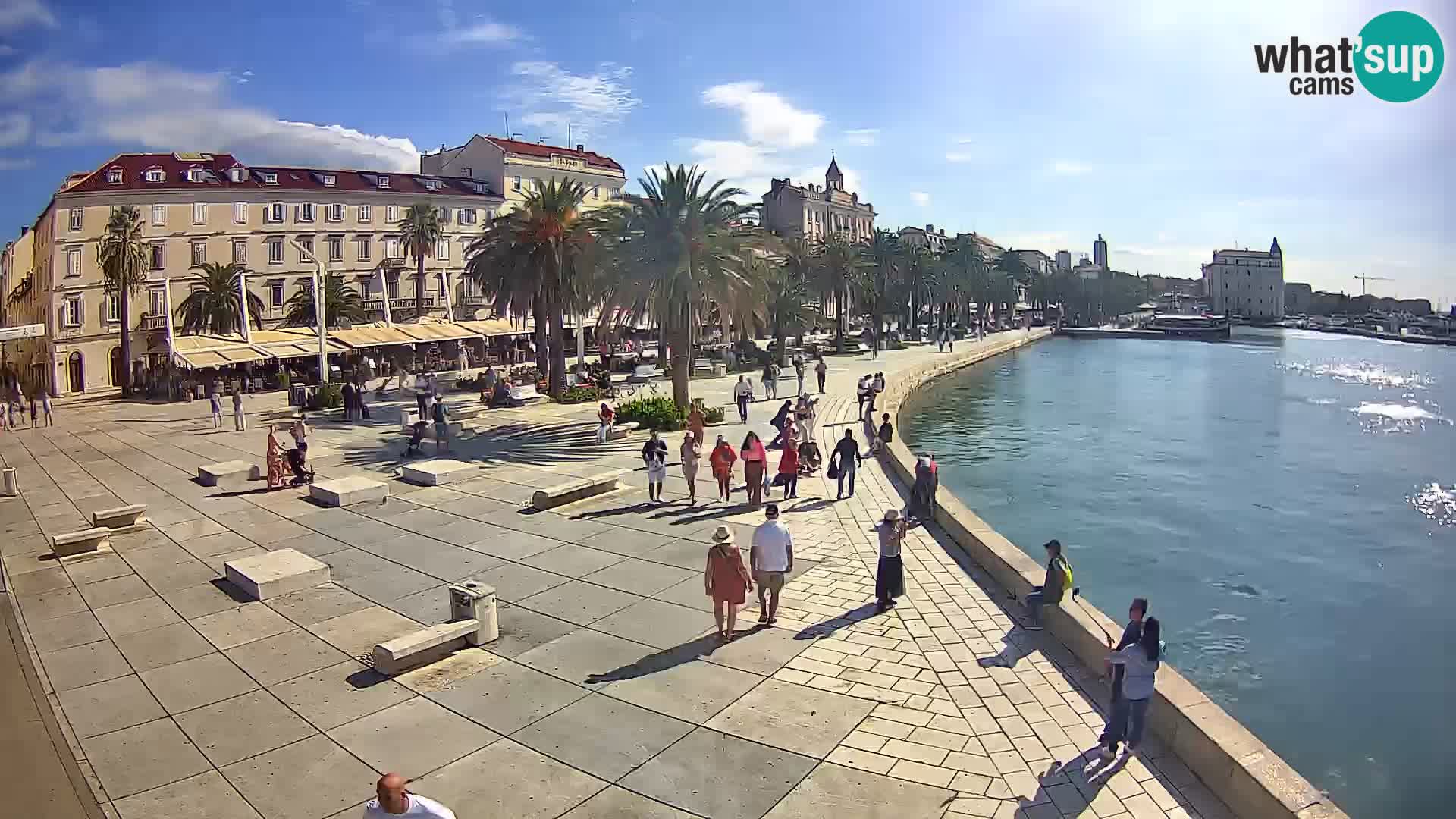 Webcam Split Riva – Prokurative | Trg Republike