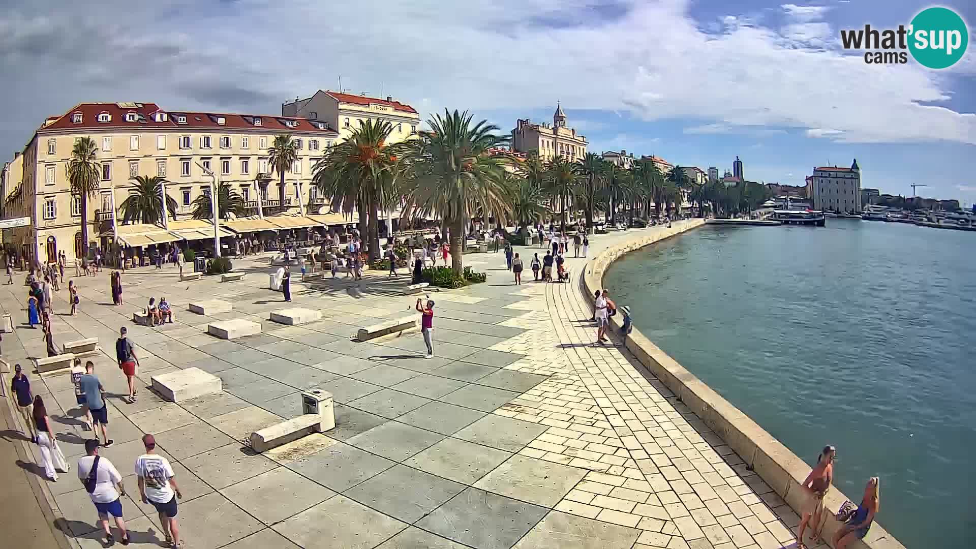 Webcam Spalato Riva – Prokurative | Piazza della Republika