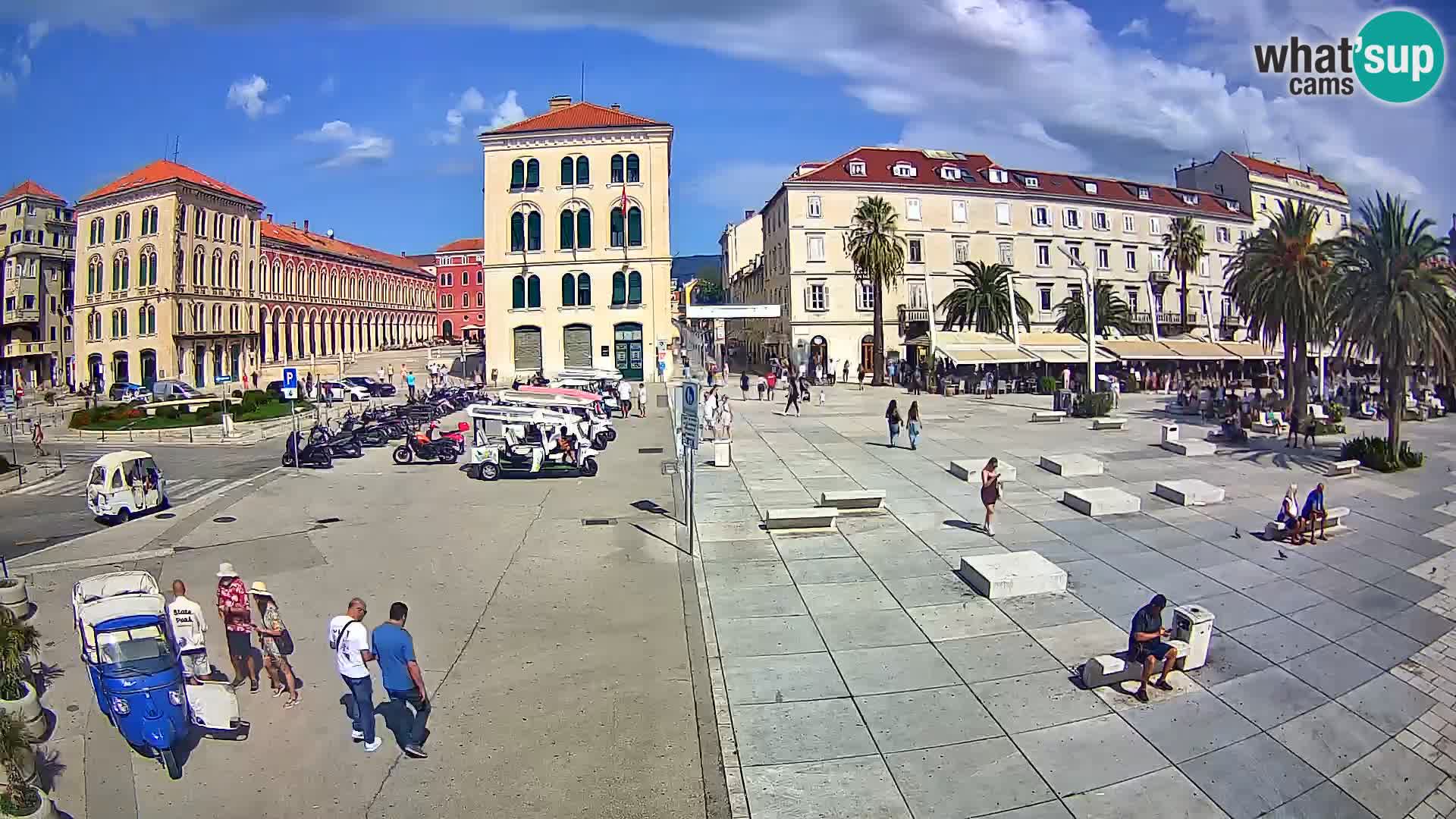 Webcam Split Riva – Prokurative | Trg Republike