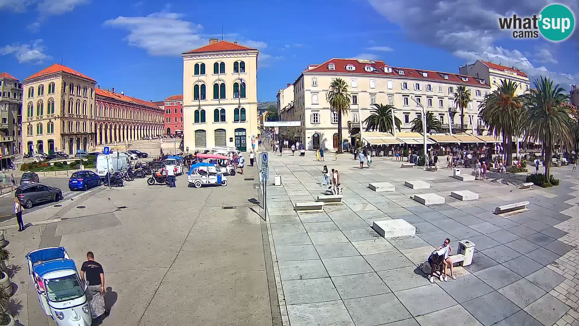 Webcam Split Riva – Prokurative | Trg Republike
