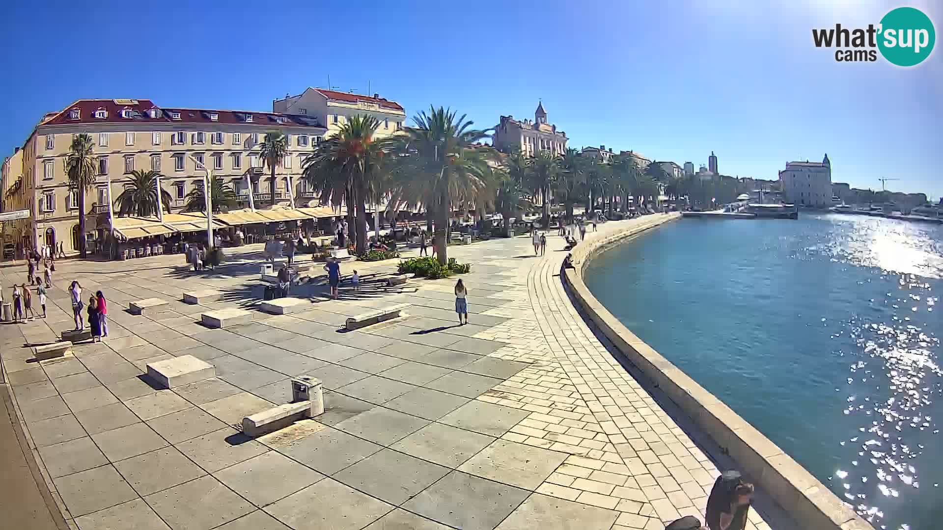 Webcam Split Riva – Prokurative | Trg Republike