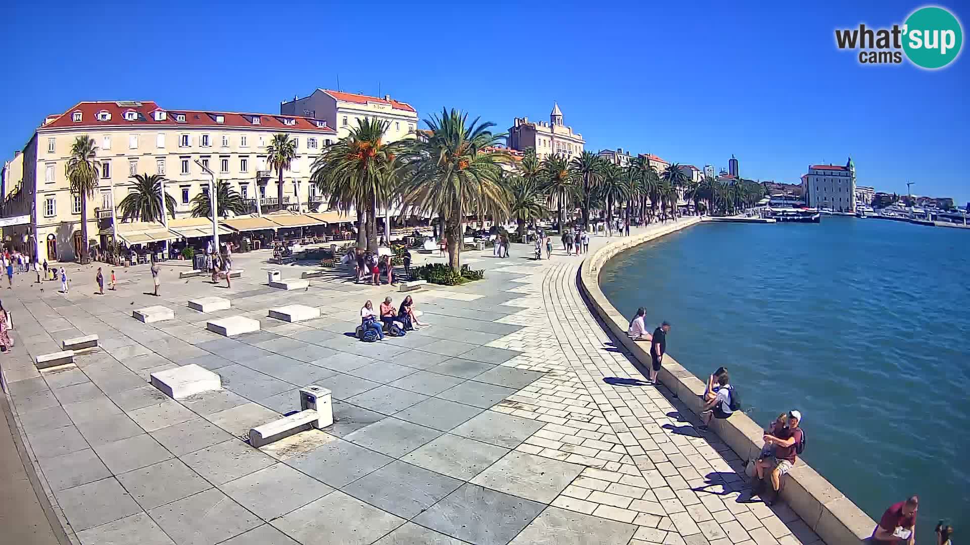 Webcam Spalato Riva – Prokurative | Piazza della Republika
