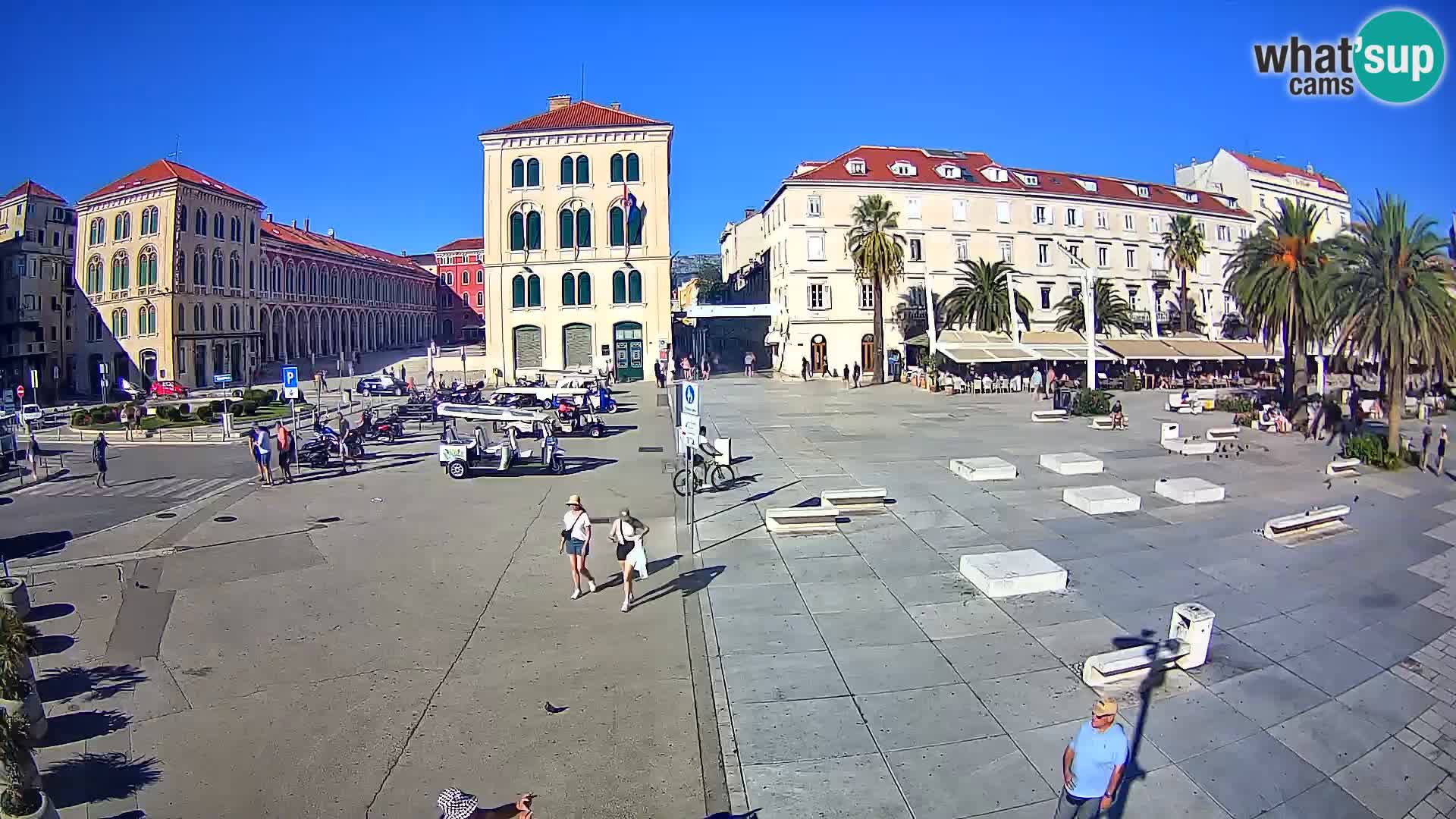 Webcam Split Riva – Prokurative | Trg Republike