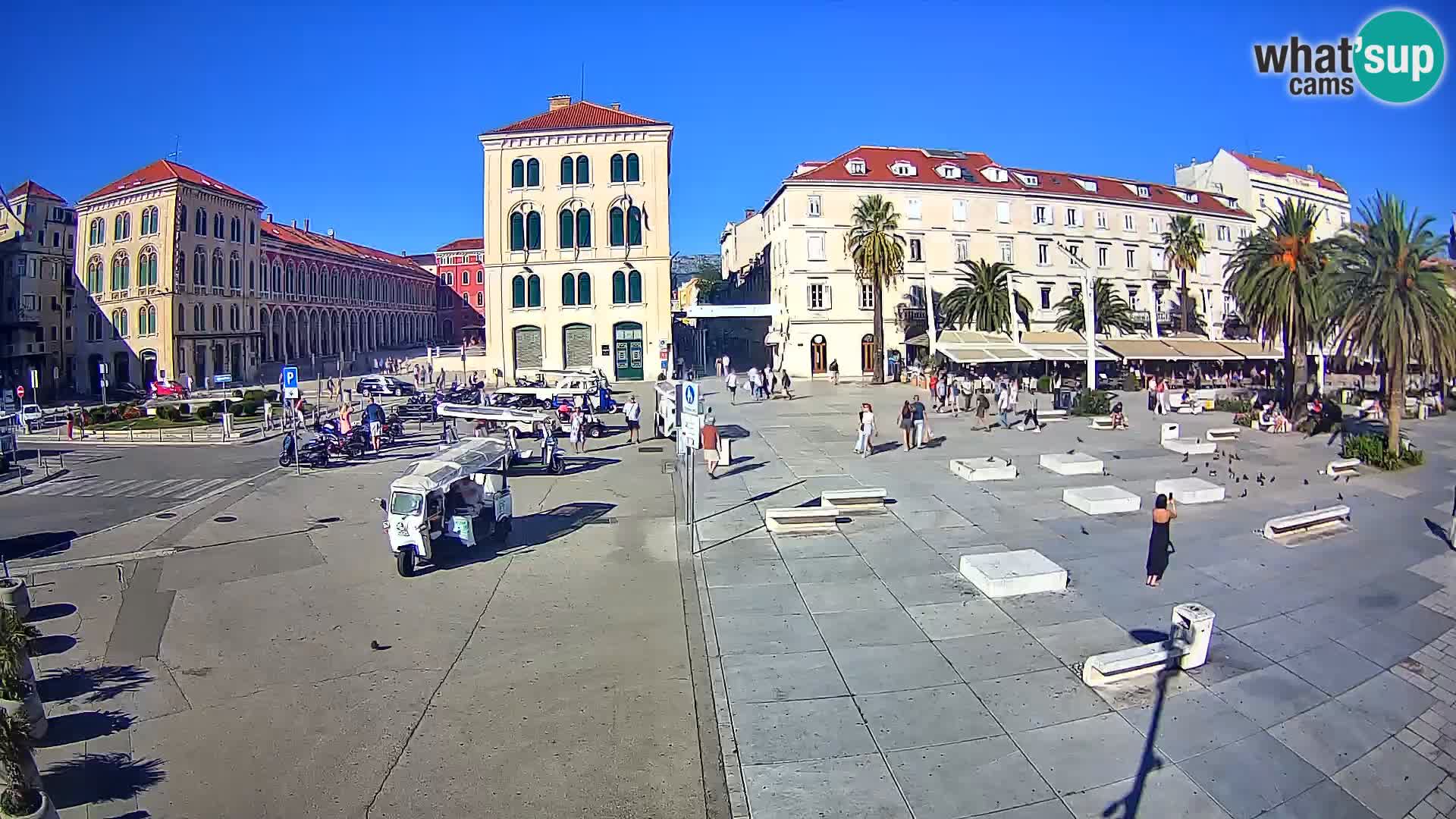 Live kamera Split Riva – Prokurative | Trg Republike