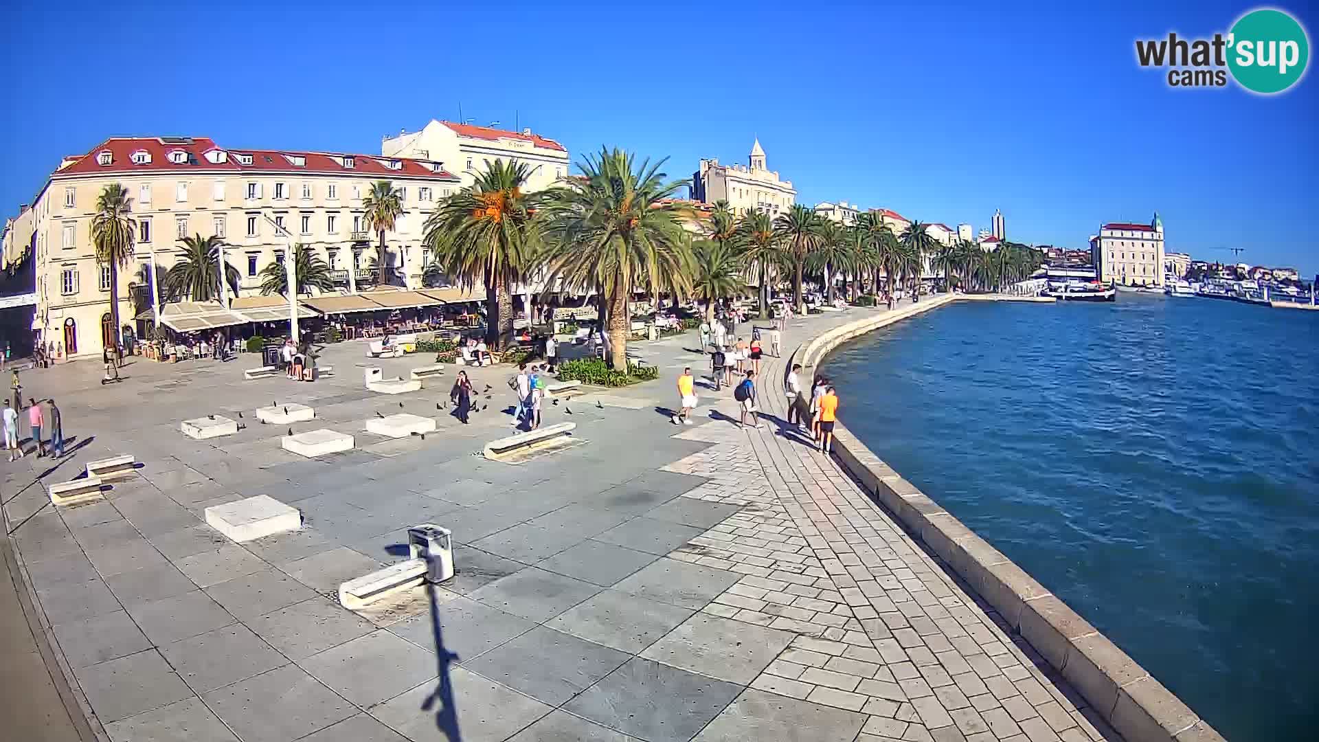 Webcam Split Riva – Prokurative | Trg Republike