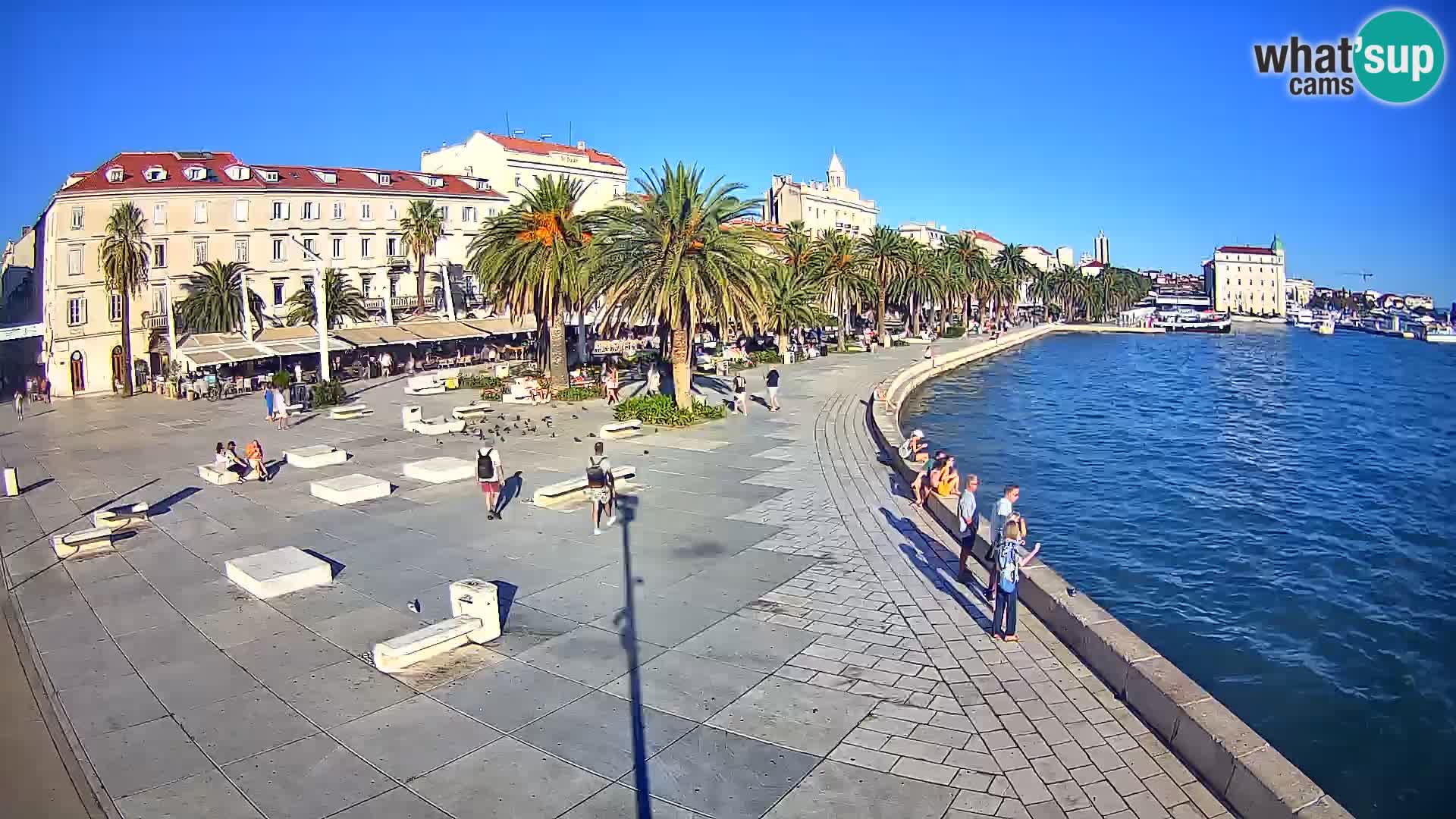 Webcam Split Riva – Prokurative | Trg Republike