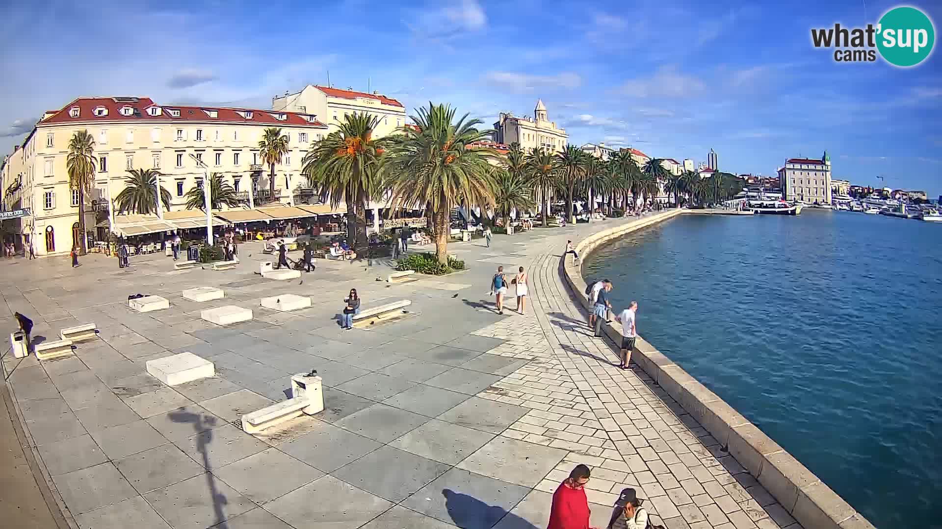 Webcam Split Riva – Prokurative | Trg Republike