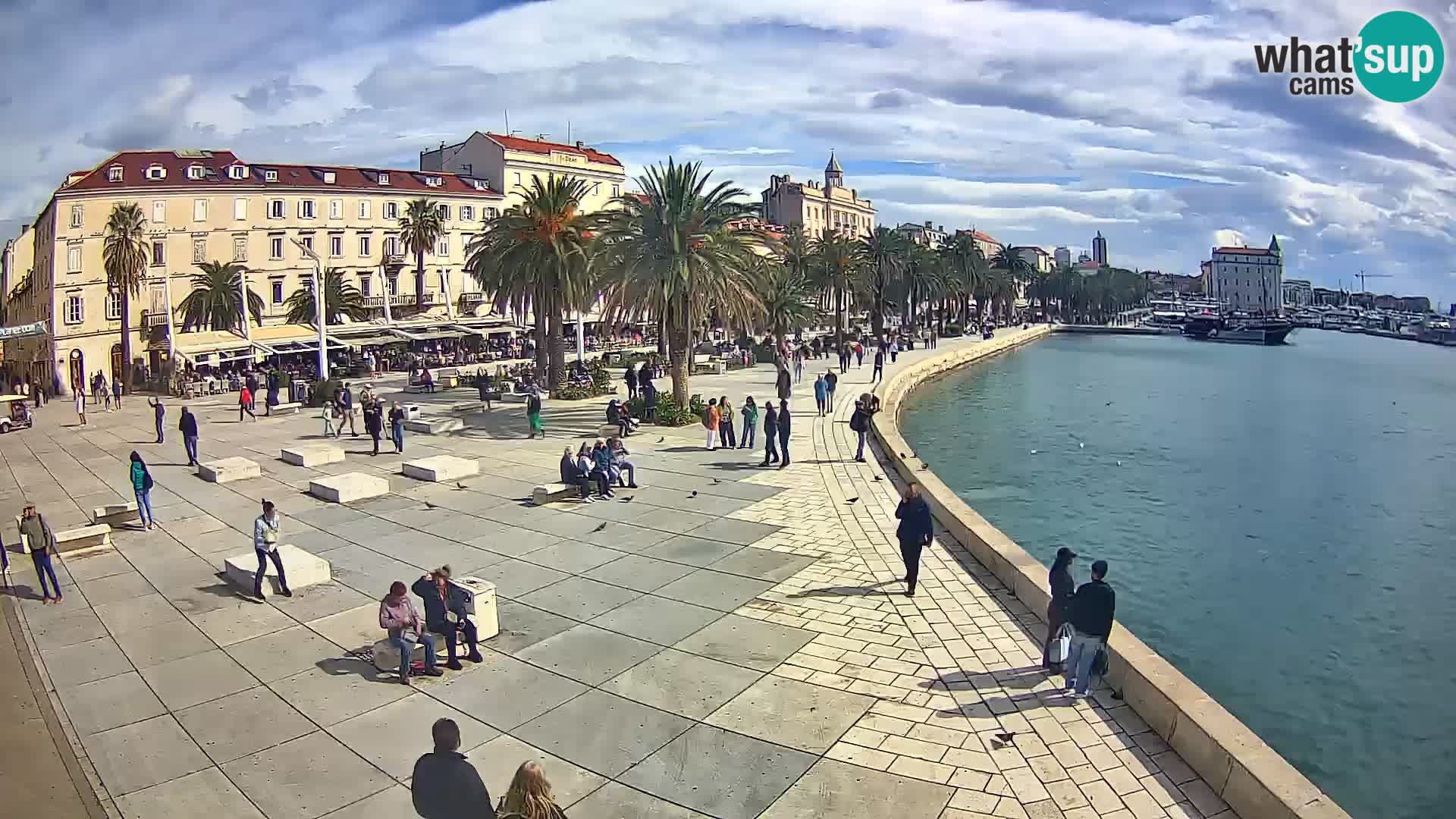 Webcam Split Riva – Prokurative | Trg Republike
