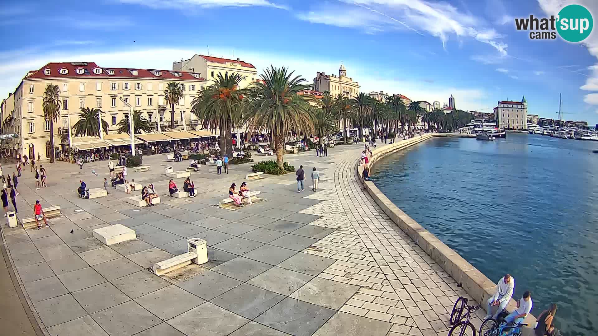 Webcam Split Riva – Prokurative | Trg Republike