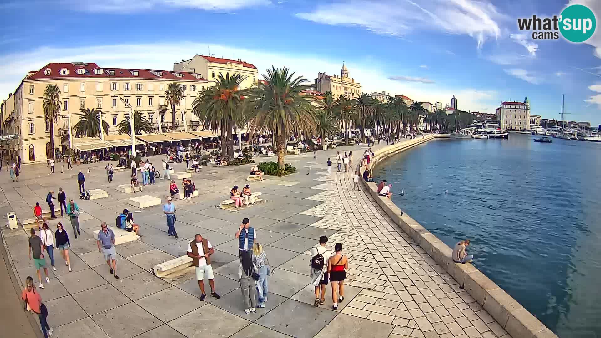 Webcam Spalato Riva – Prokurative | Piazza della Republika