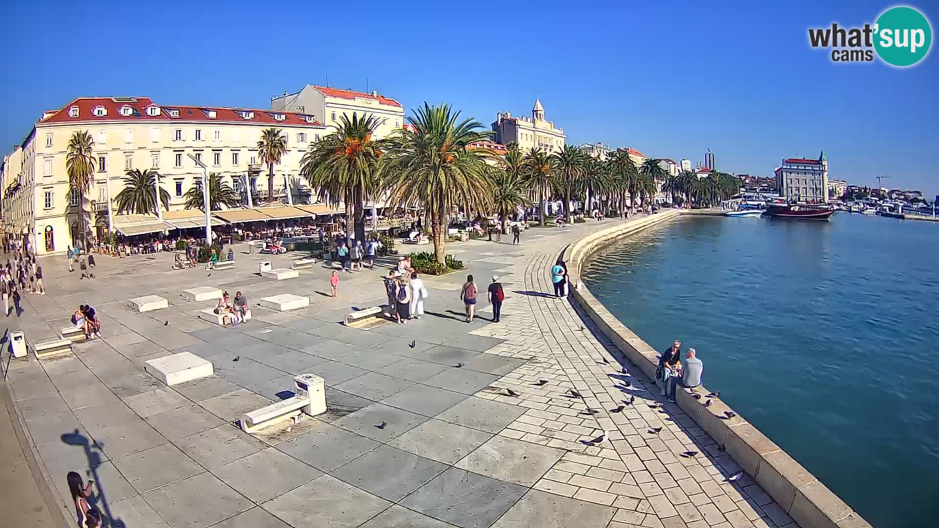 Live kamera Split Riva – Prokurative | Trg Republike