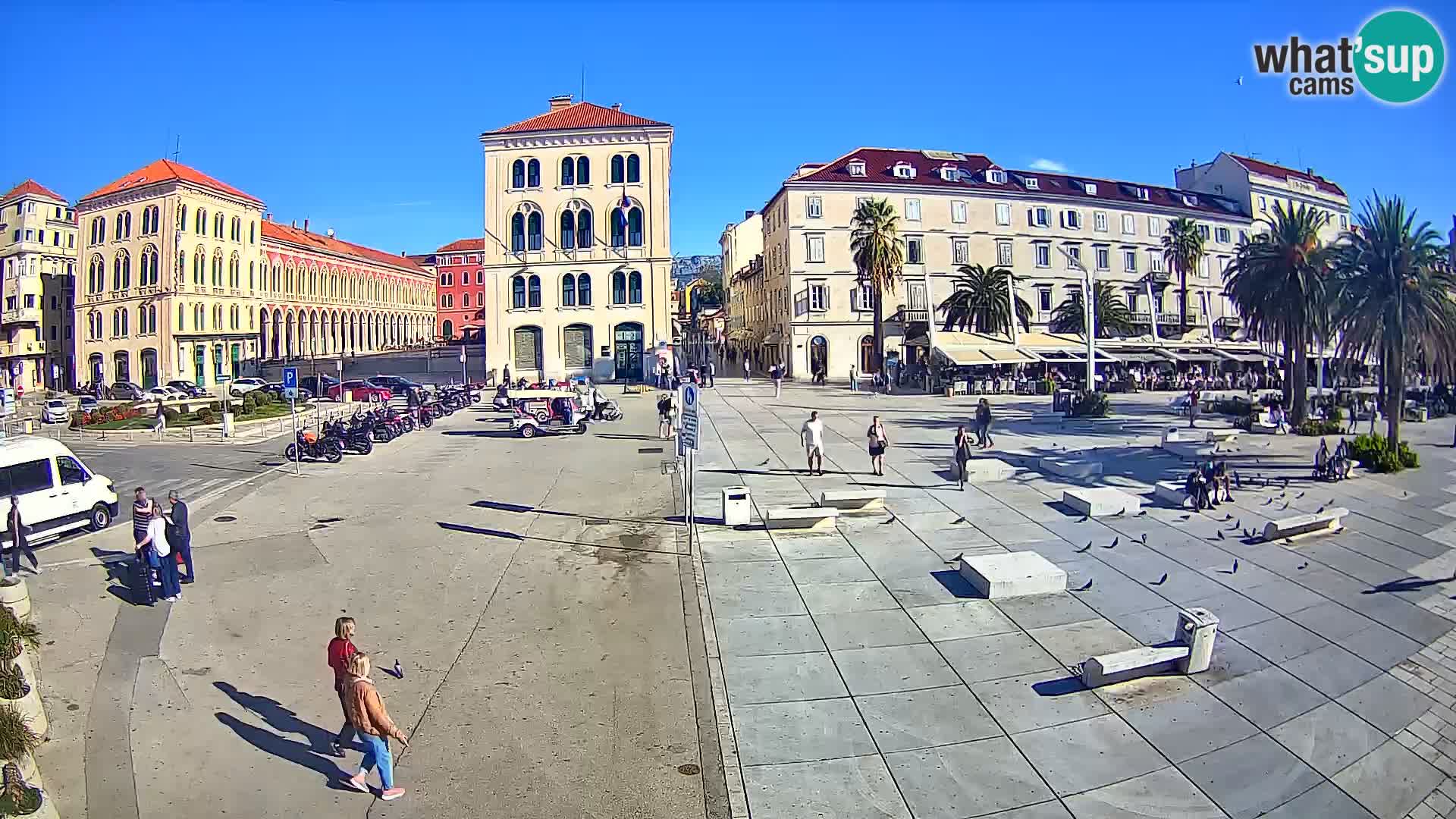 Webcam Split Riva – Prokurative | Trg Republike