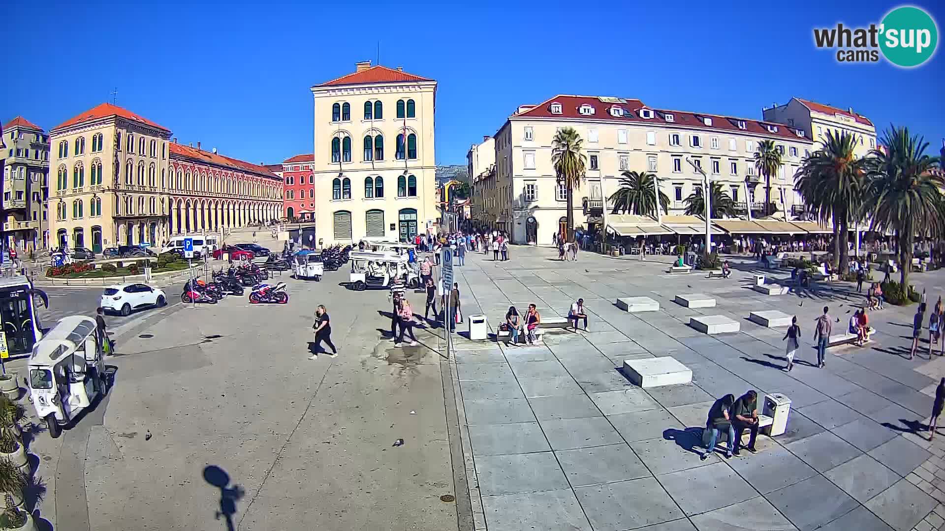 Webcam Split Riva – Prokurative | Trg Republike