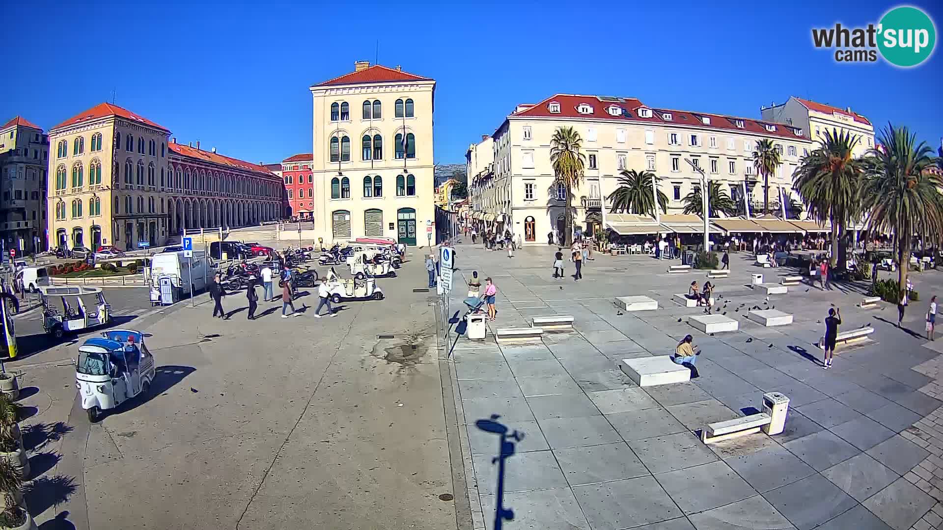 Webcam Split Riva – Prokurative | Trg Republike