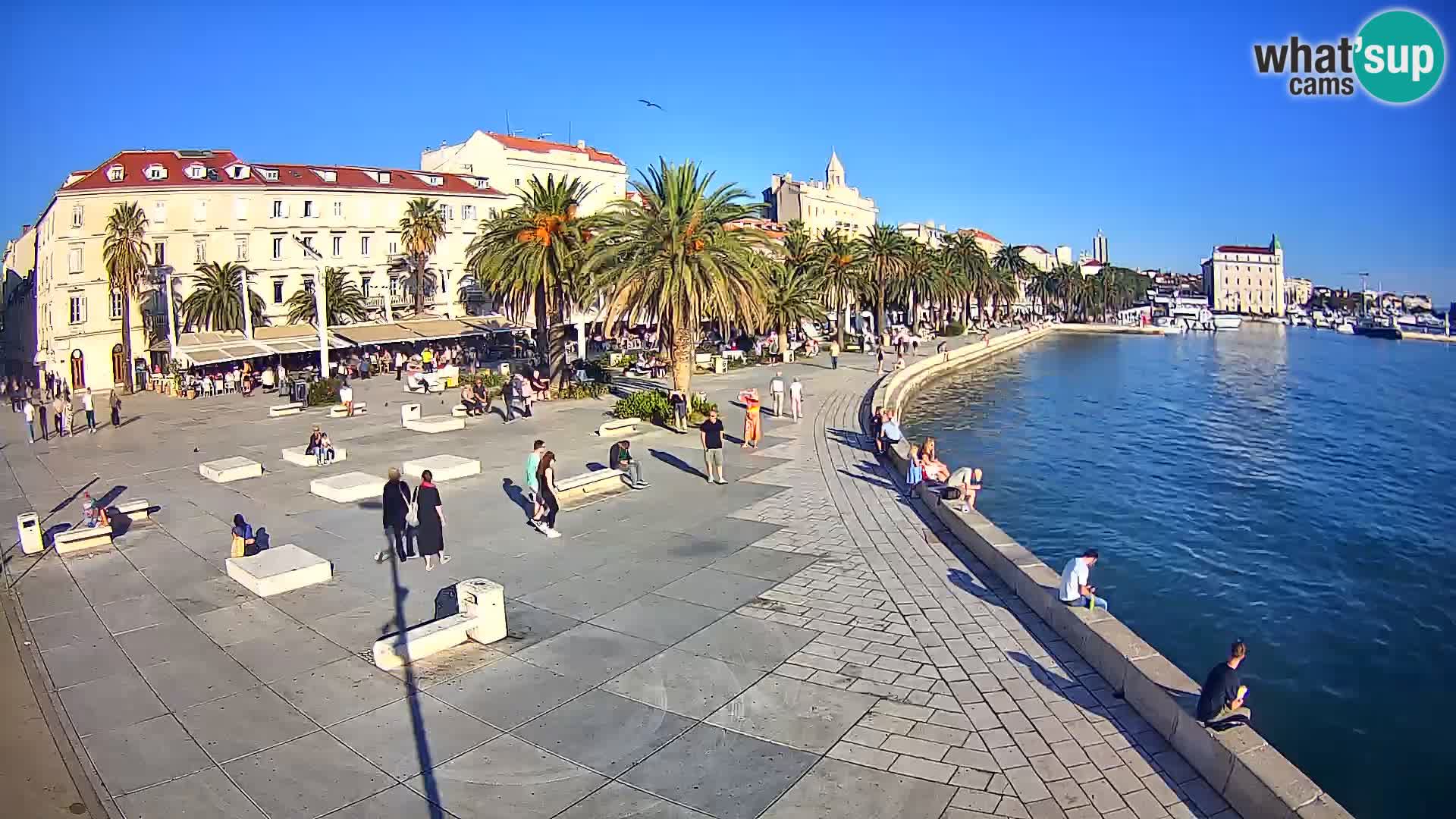 Webcam Split Riva – Prokurative | Trg Republike