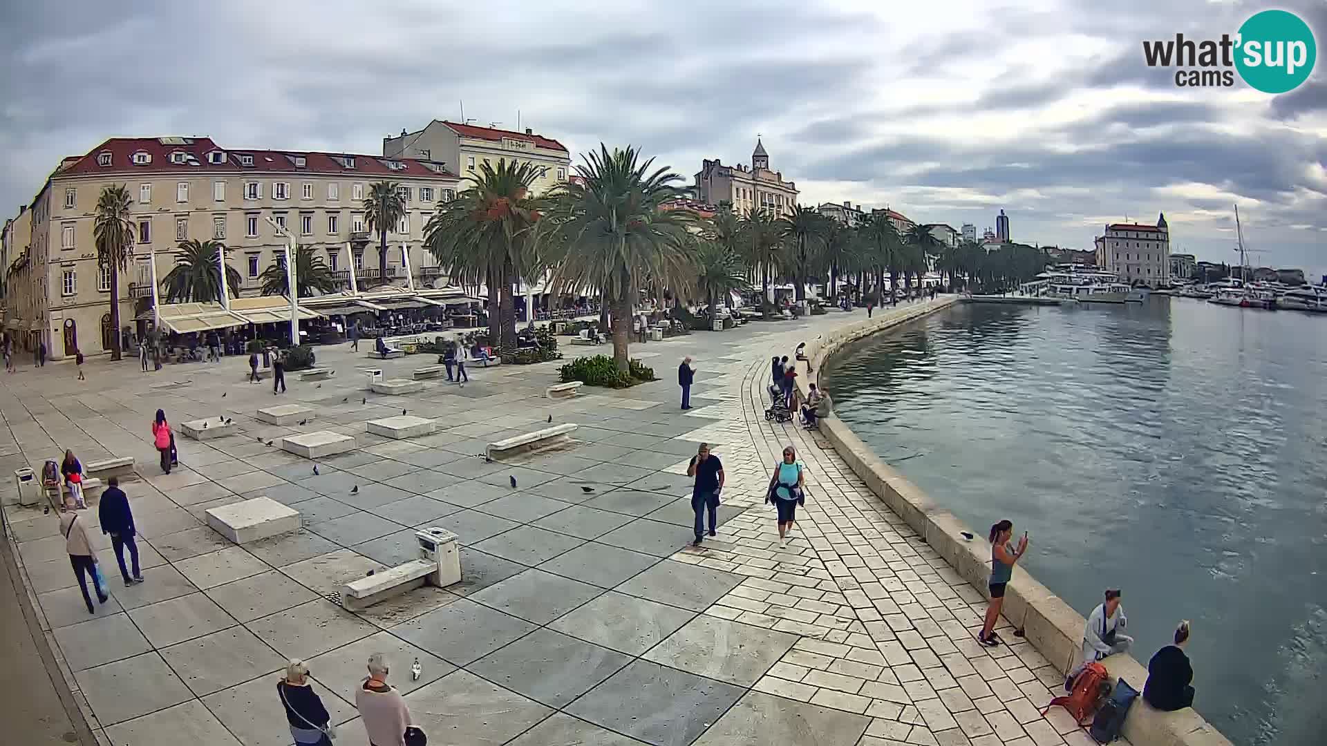 Webcam Split Riva – Prokurative | Trg Republike