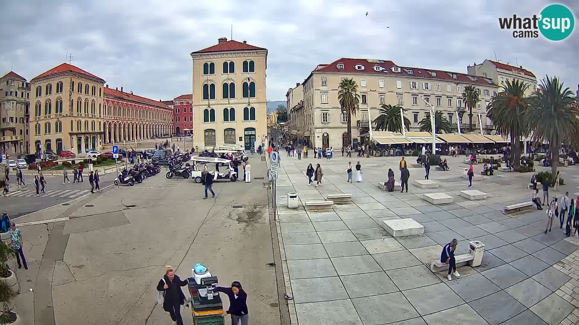 Webcam Split Riva – Prokurative | Trg Republike