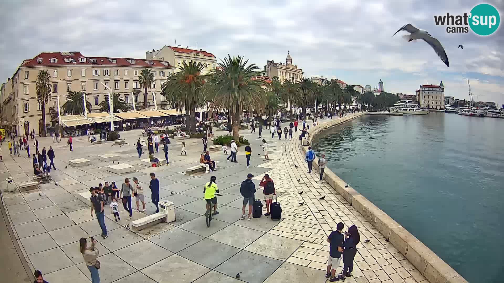Webcam Split Riva – Prokurative | Plaza de la República