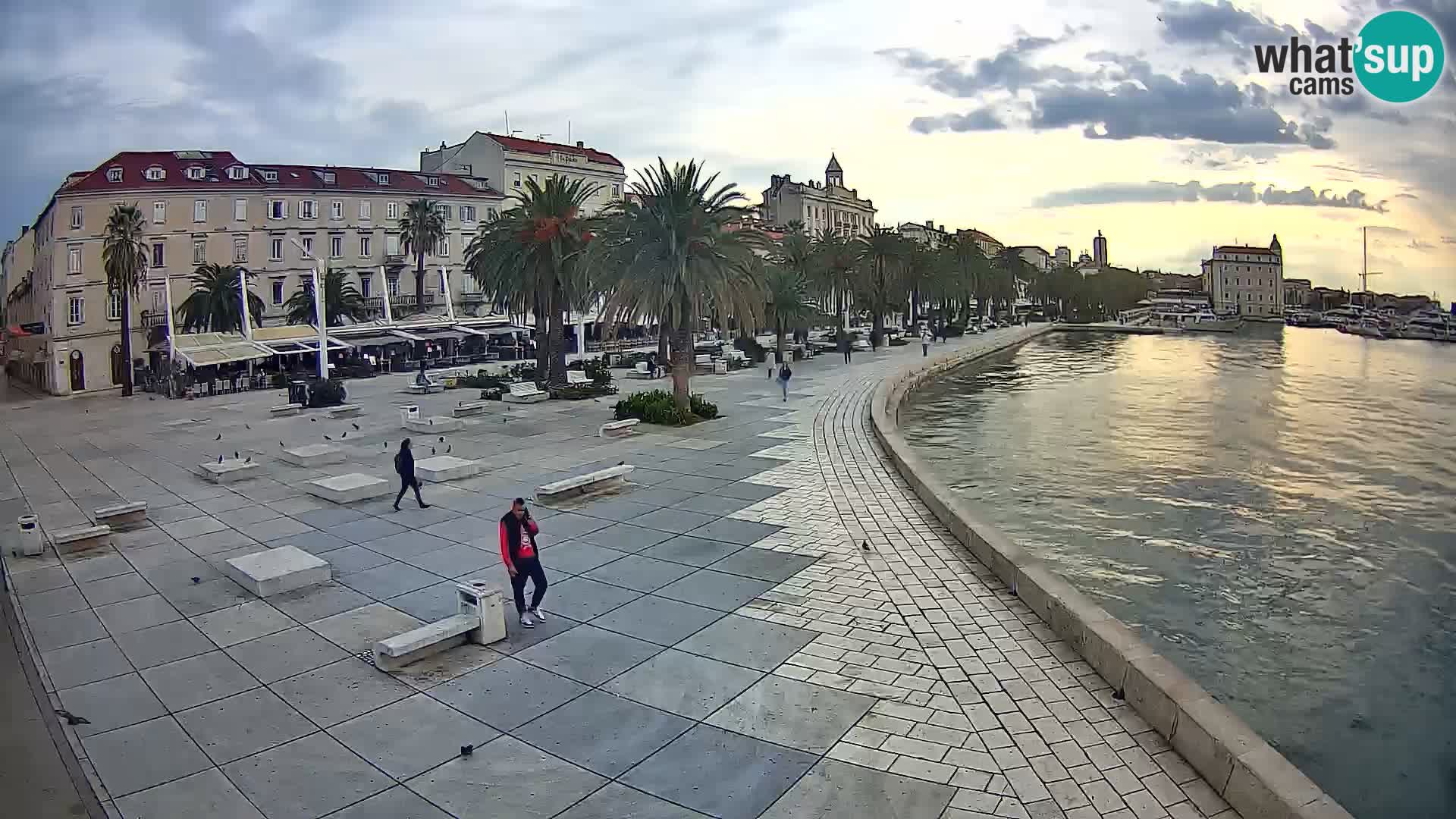 Webcam Split Riva – Prokurative | Trg Republike