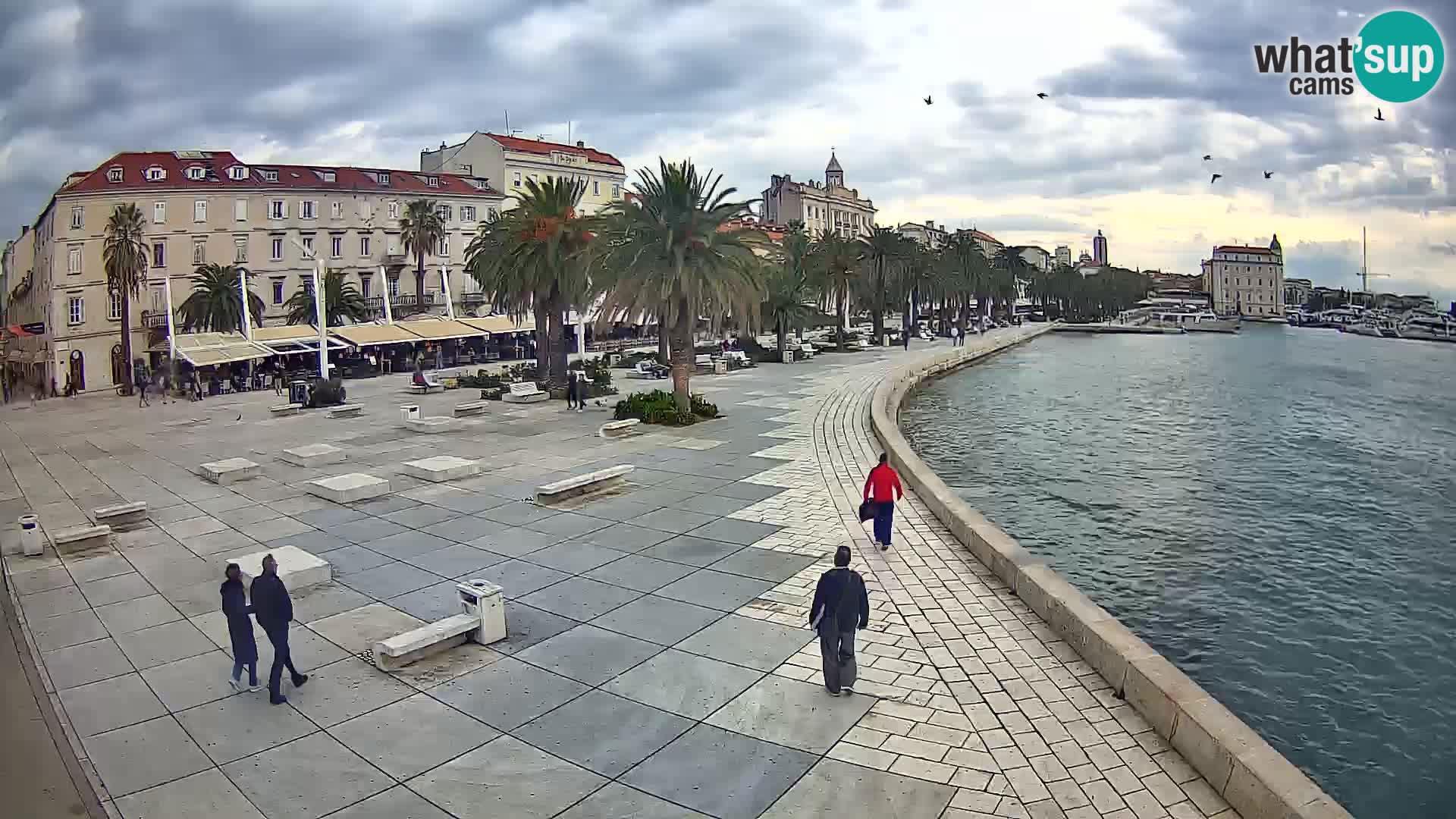 Webcam Split Riva – Prokurative | Trg Republike