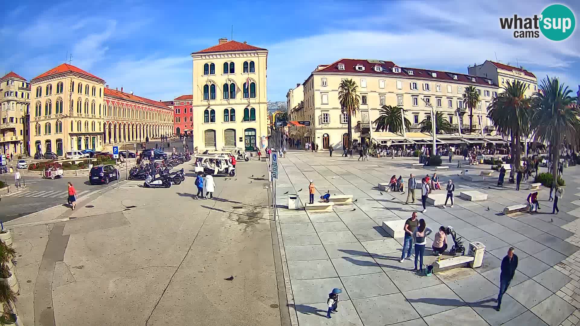 Webcam Split Riva – Prokurative | Trg Republike