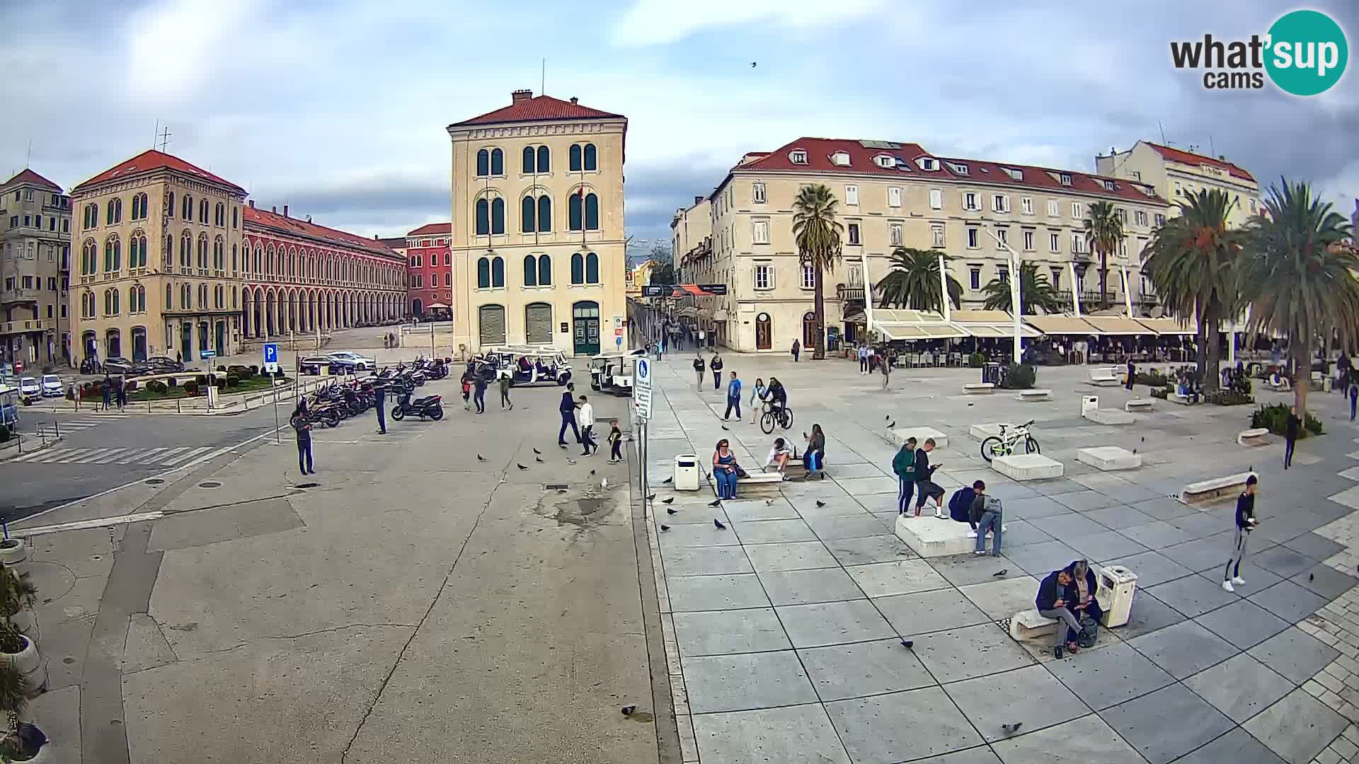 Webcam Split Riva – Prokurative | Trg Republike