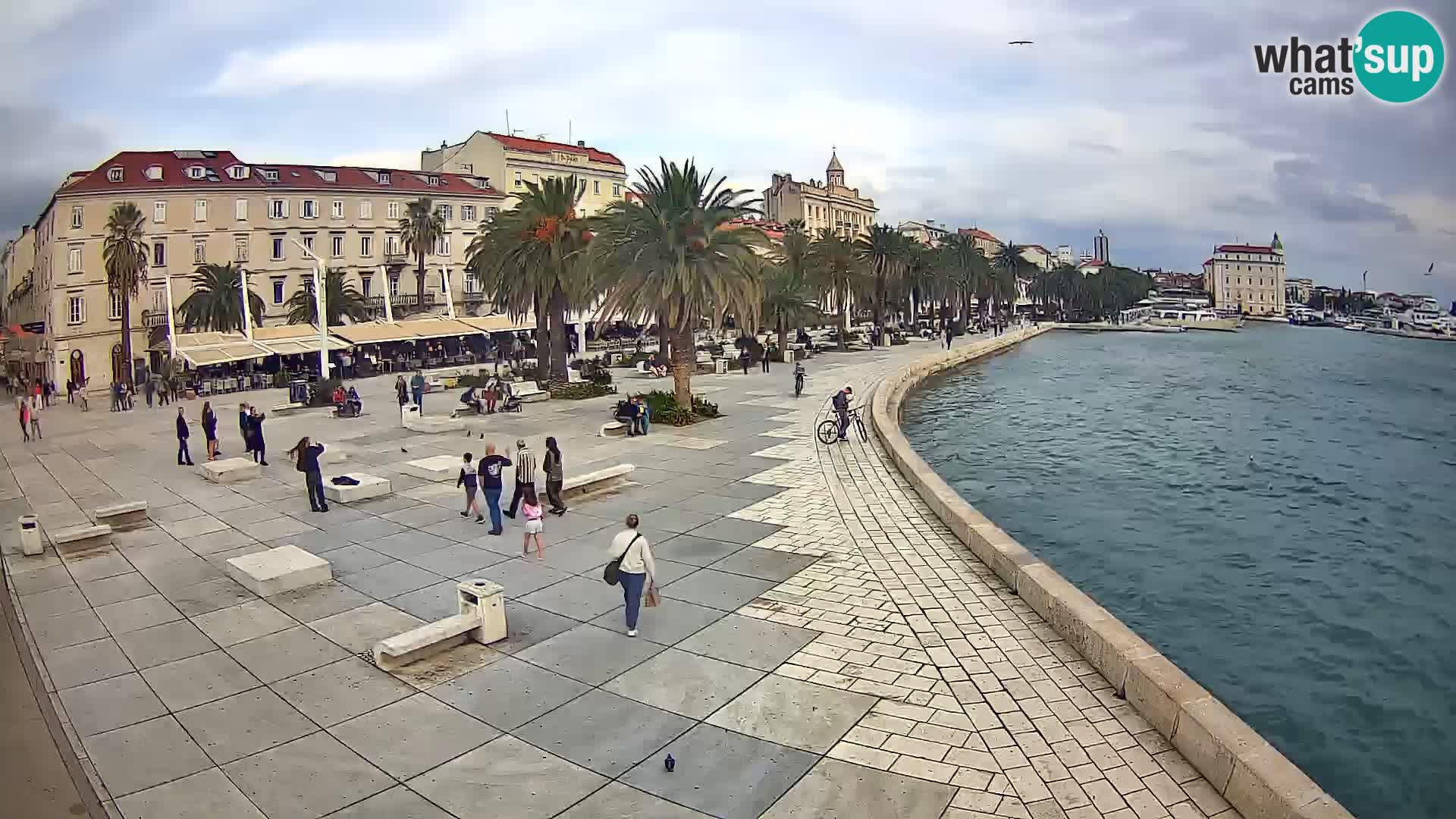 Webcam Split Riva – Prokurative | Trg Republike