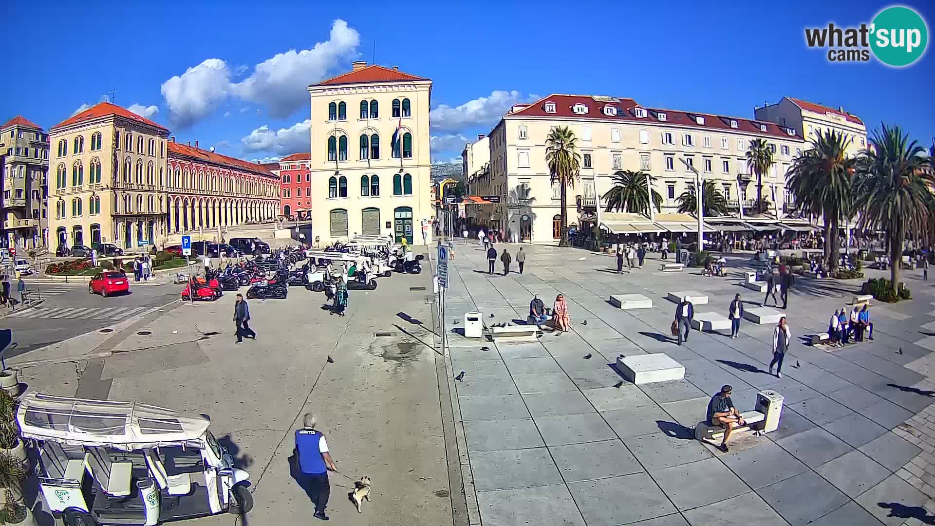 Webcam Split Riva – Prokurative | Trg Republike