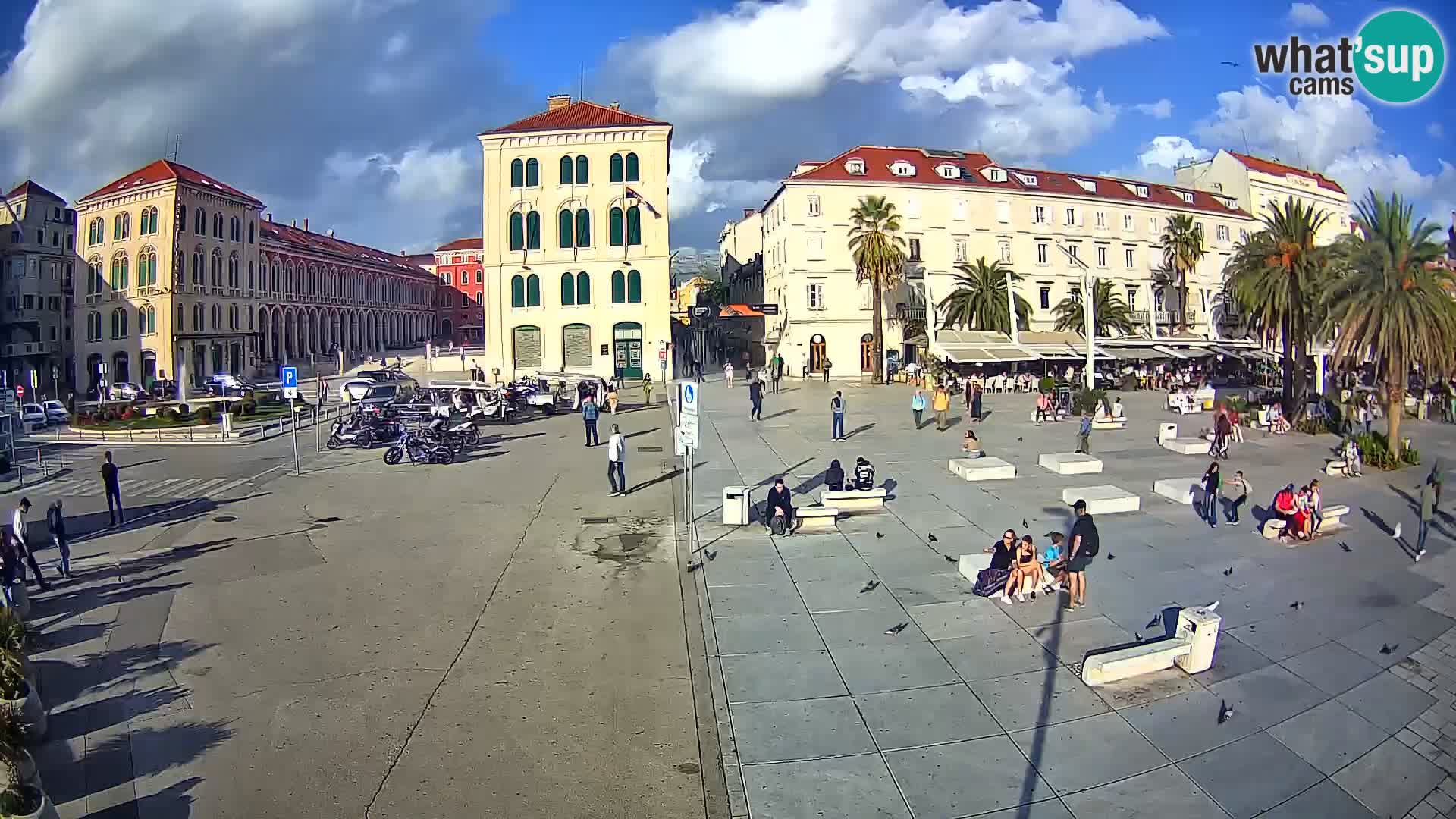 Webcam Split Riva – Prokurative | Trg Republike