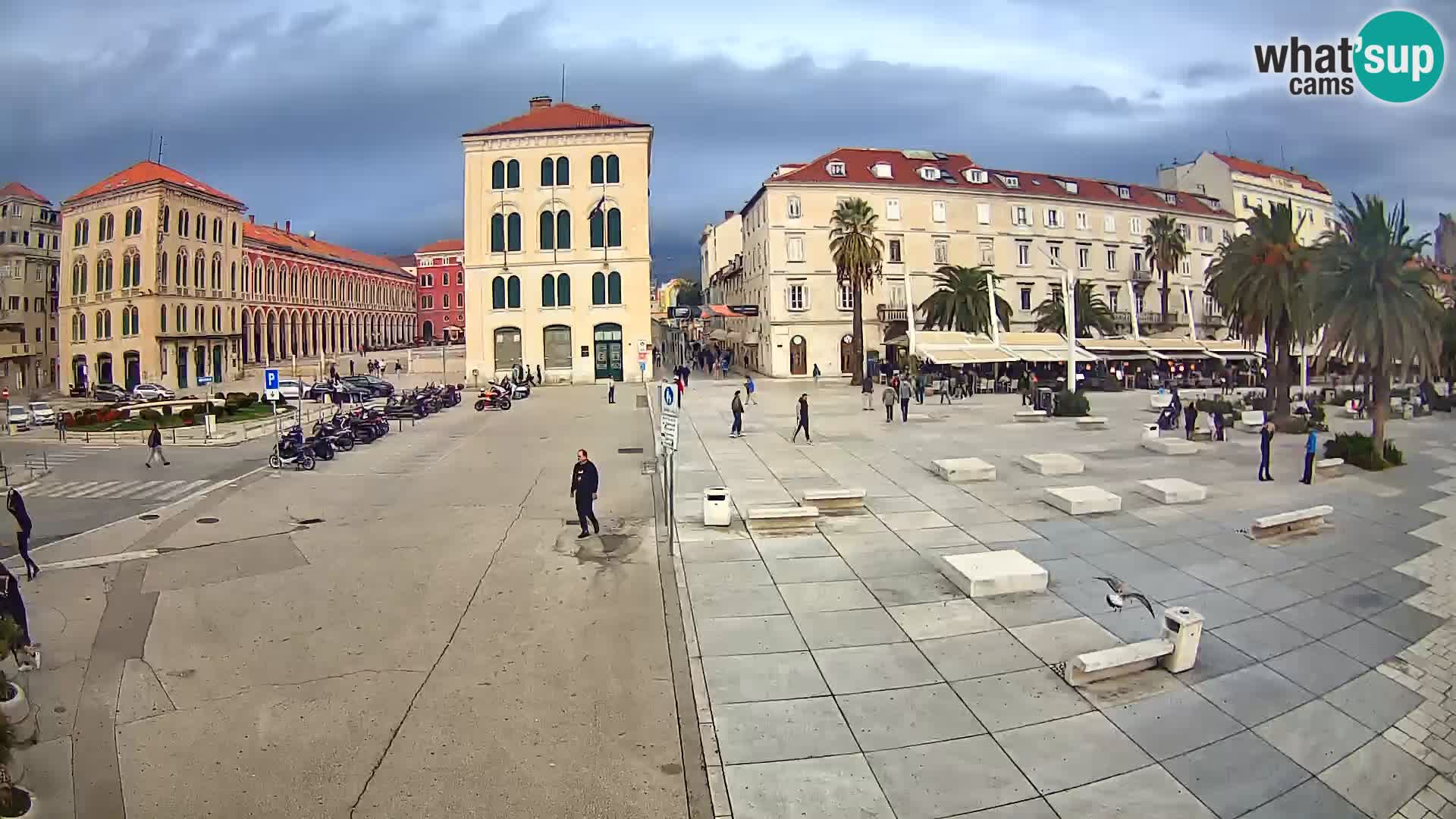 Webcam Split Riva – Prokurative | Trg Republike
