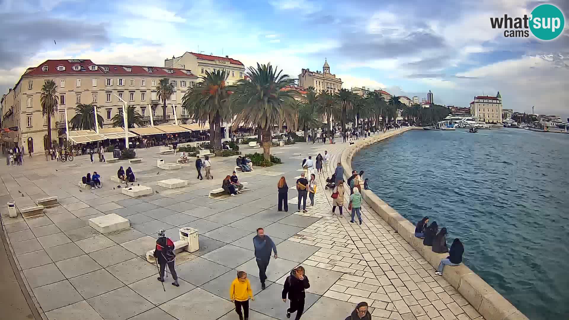Webcam Split Riva – Prokurative | Trg Republike