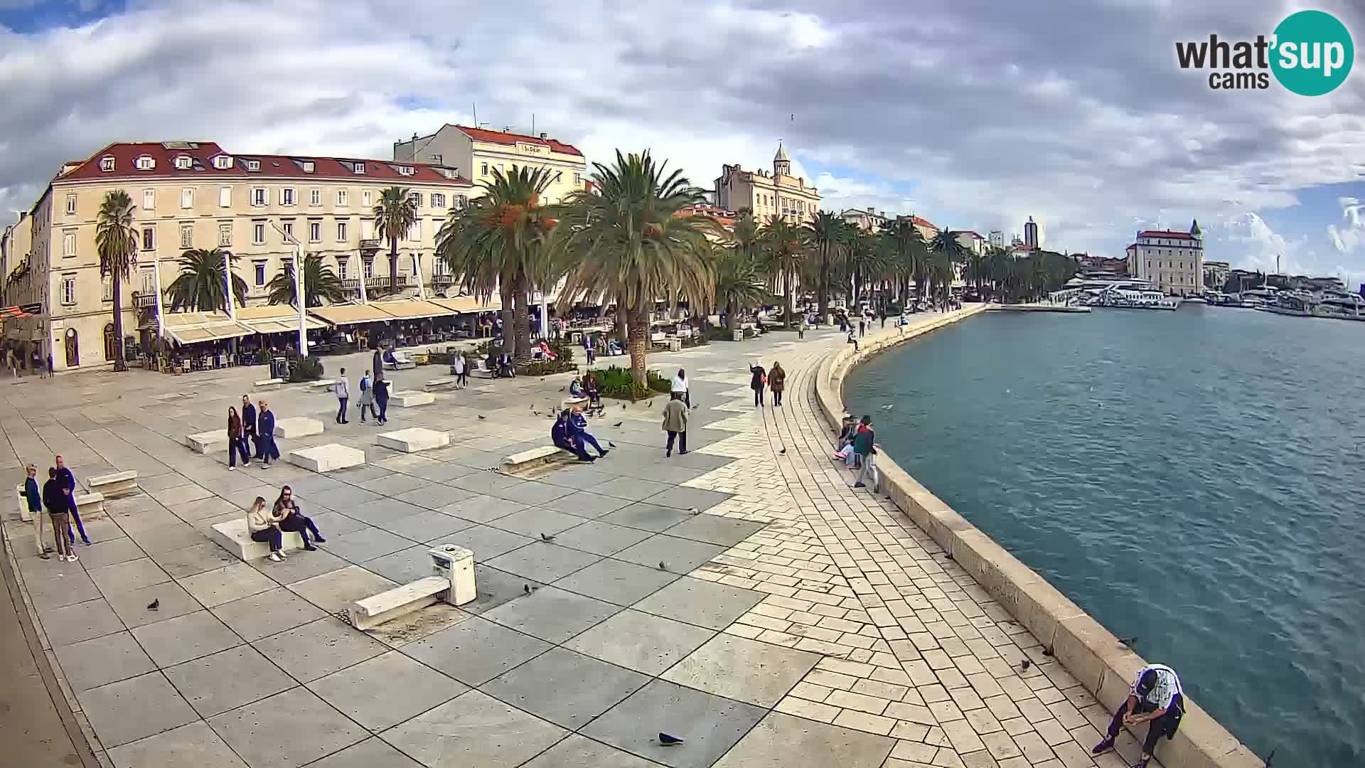 Webcam Spalato Riva – Prokurative | Piazza della Republika