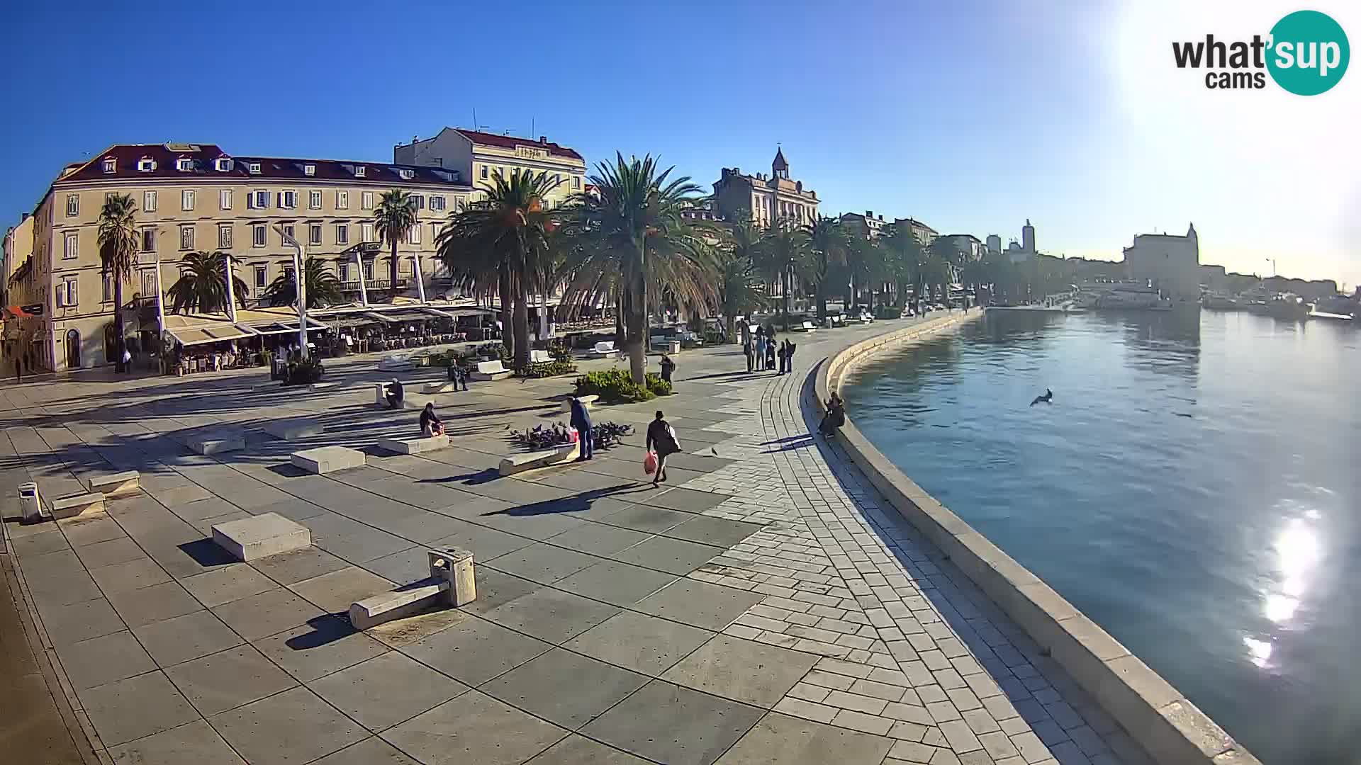 Webcam Split Riva – Prokurative | Trg Republike