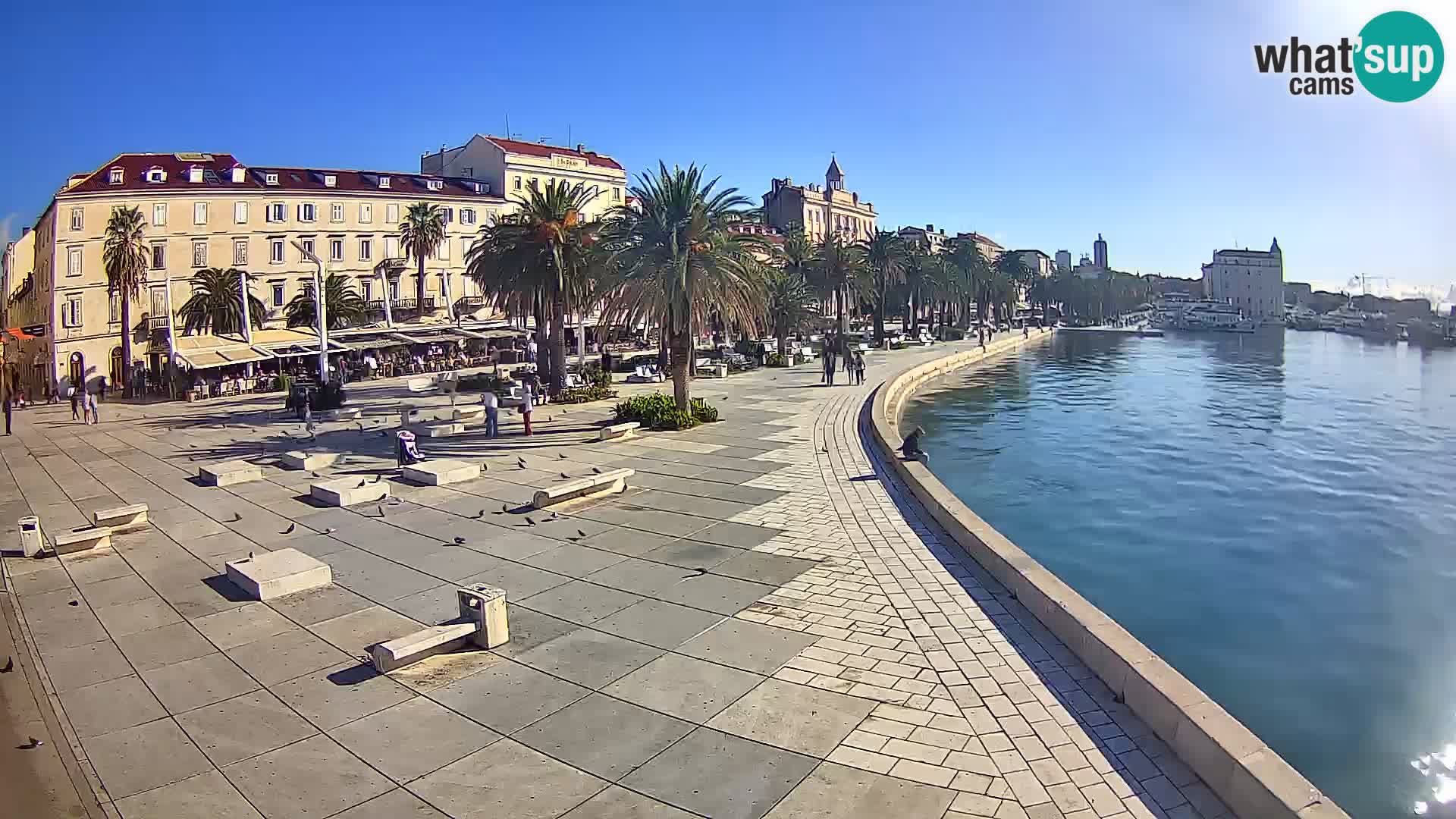 Webcam Spalato Riva – Prokurative | Piazza della Republika