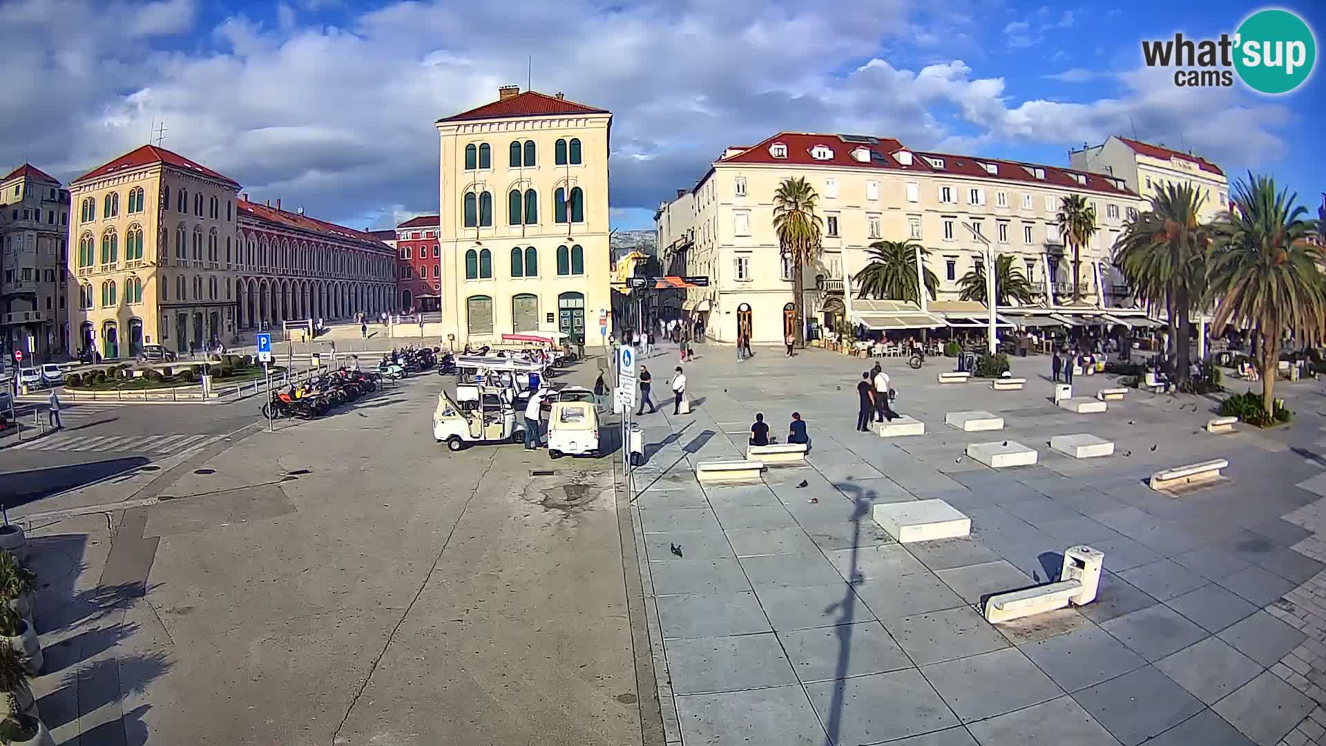 Webcam Split Riva – Prokurative | Trg Republike