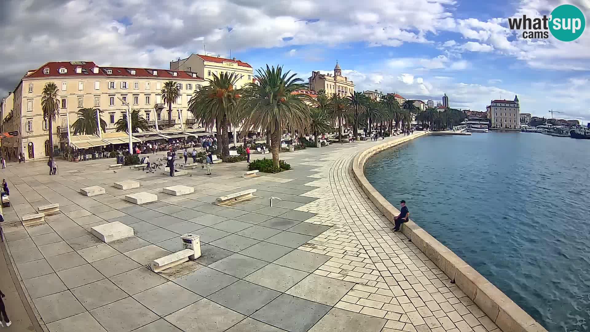 Webcam Split Riva – Prokurative | Trg Republike