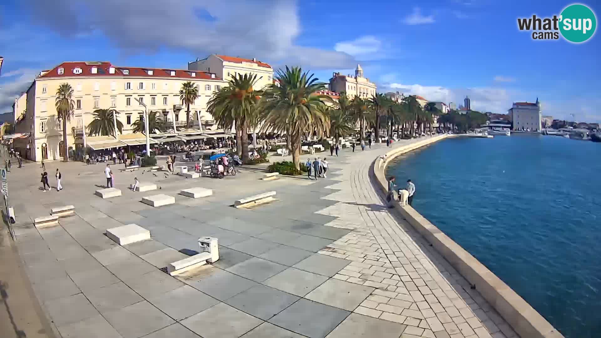 Webcam Split Riva – Prokurative | Trg Republike