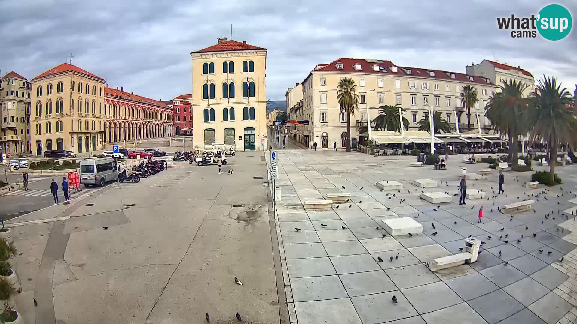 Webcam Split Riva – Prokurative | Trg Republike