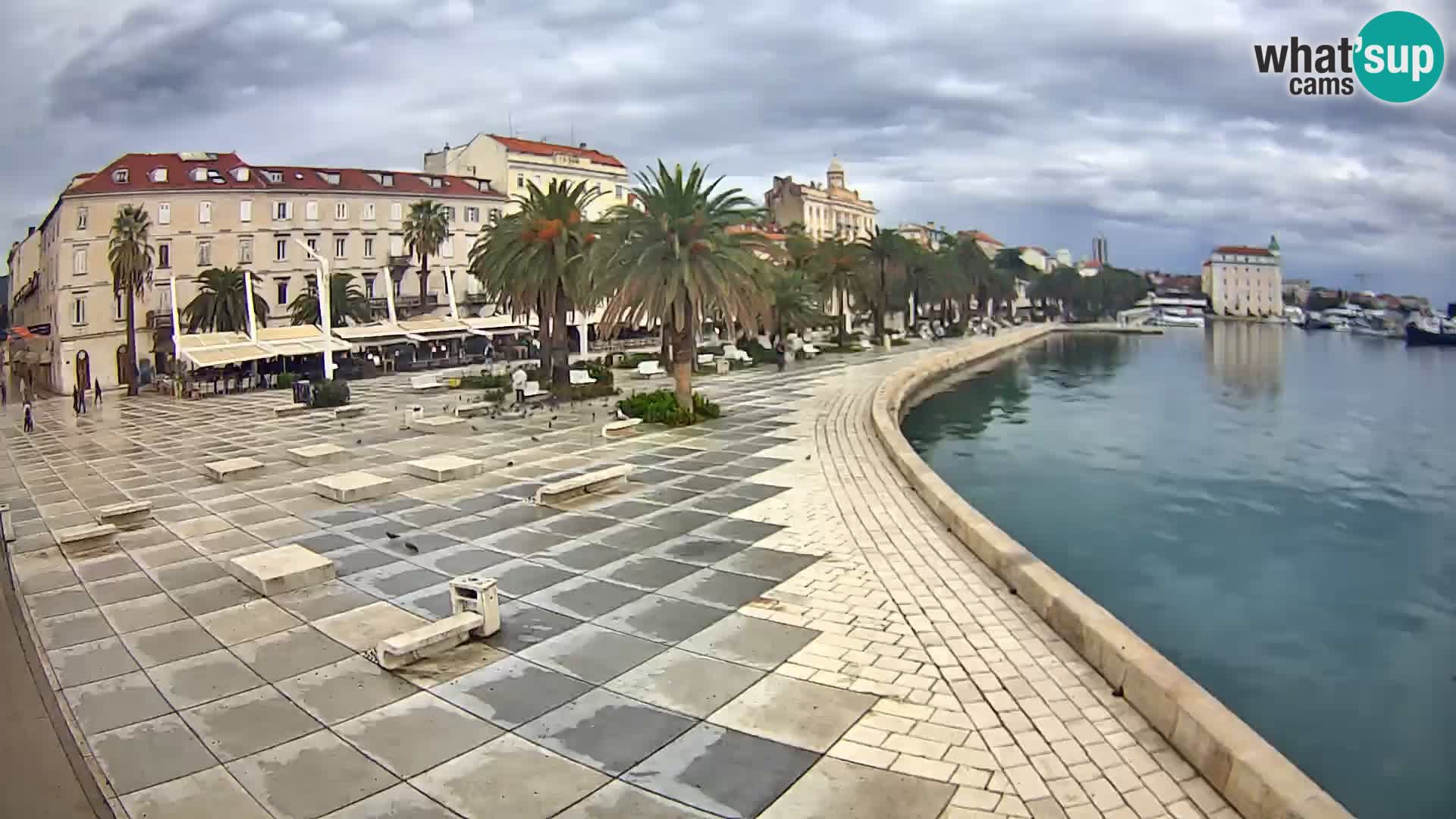 Webcam Split Riva – Prokurative | Trg Republike